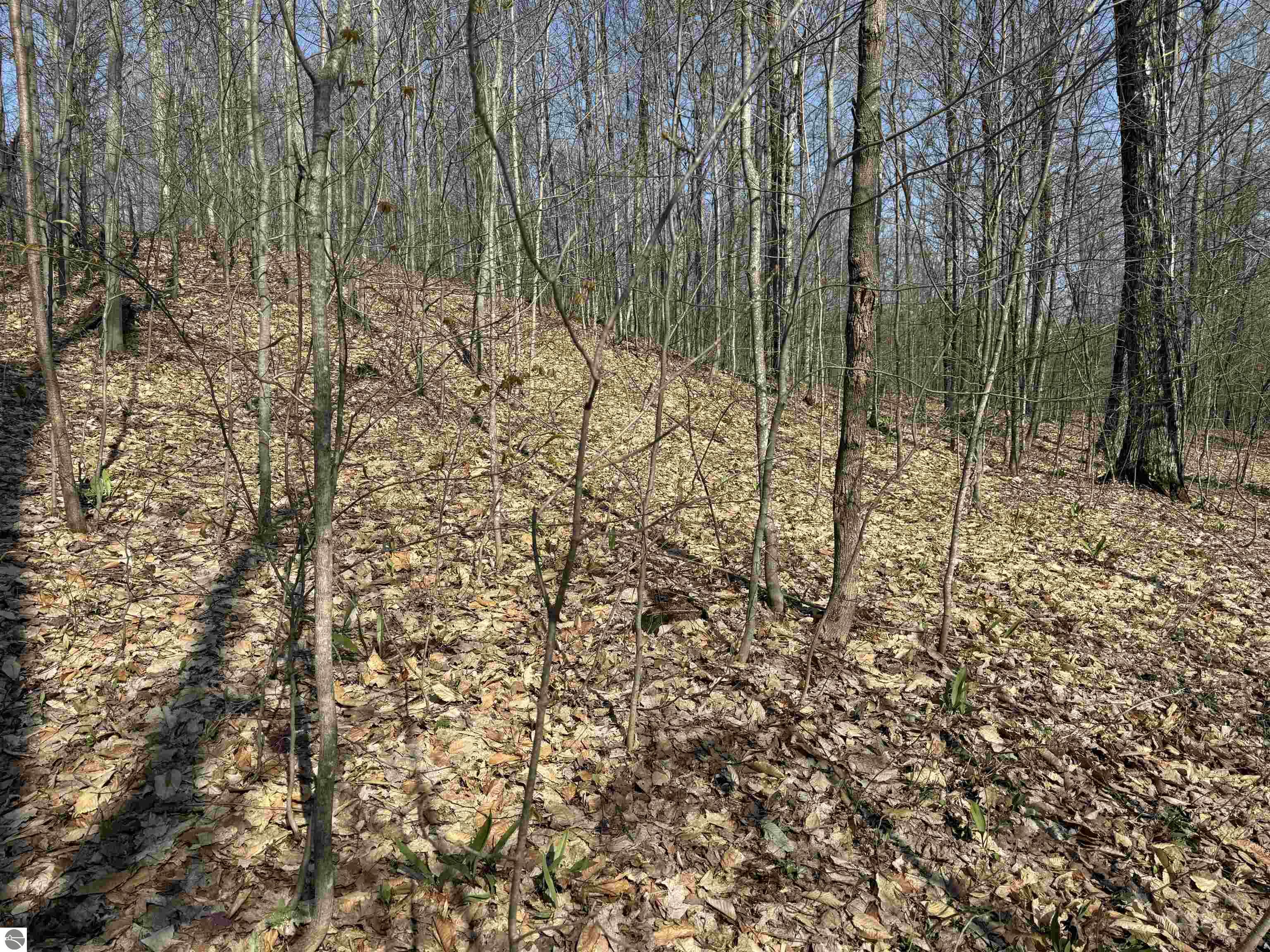 0000 W Timber View Trail