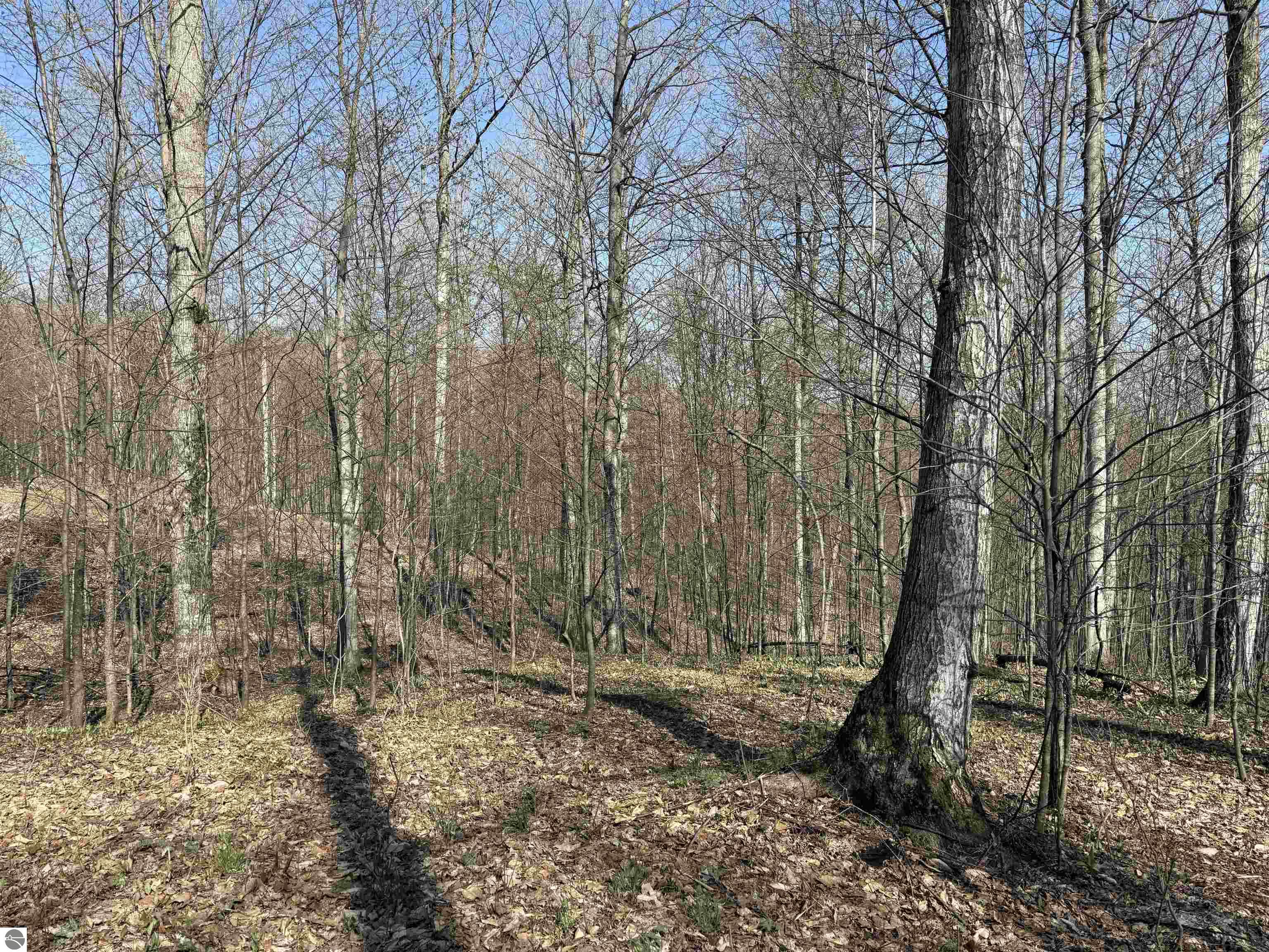0000 W Timber View Trail