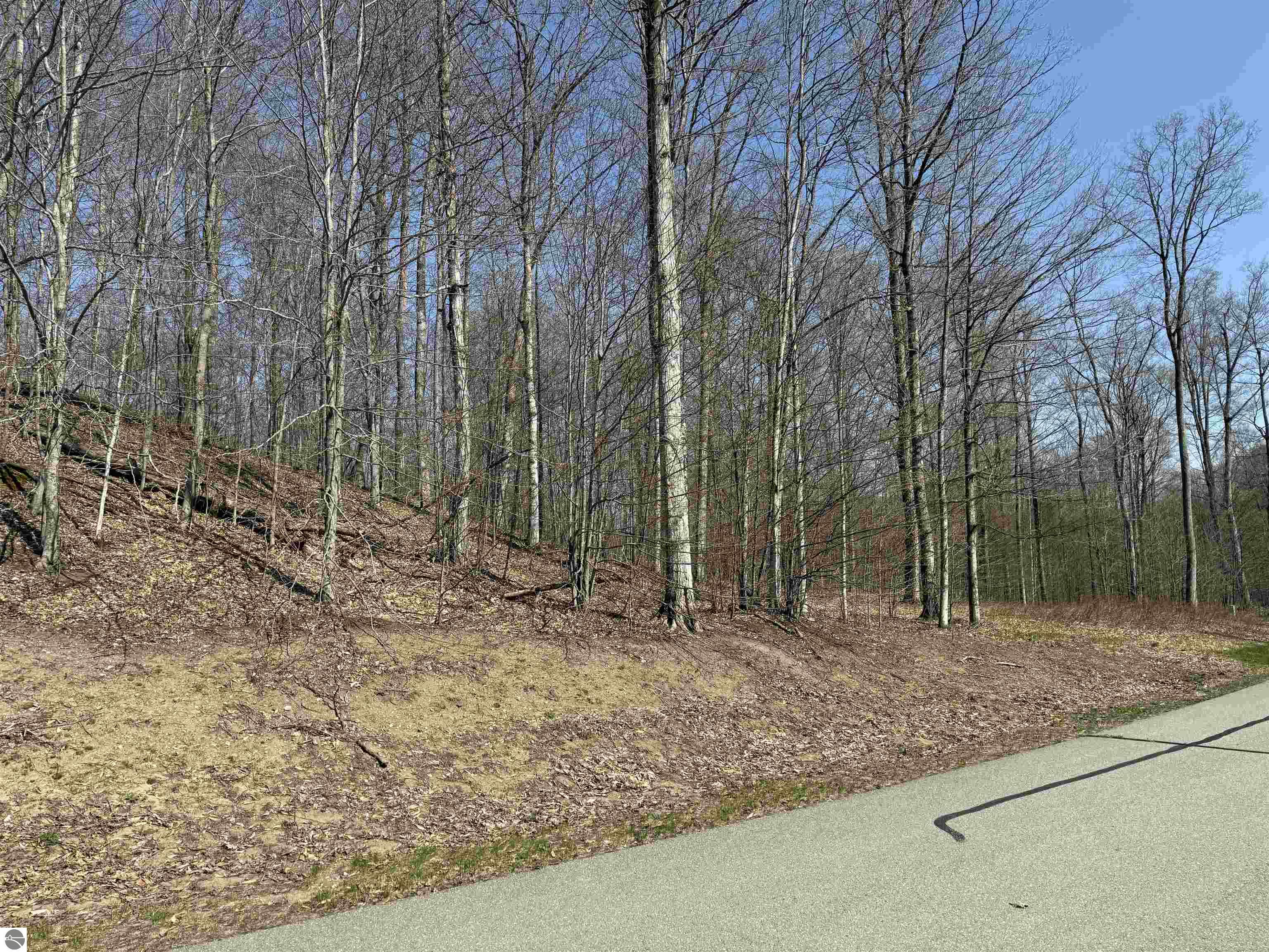 0000 W Timber View Trail