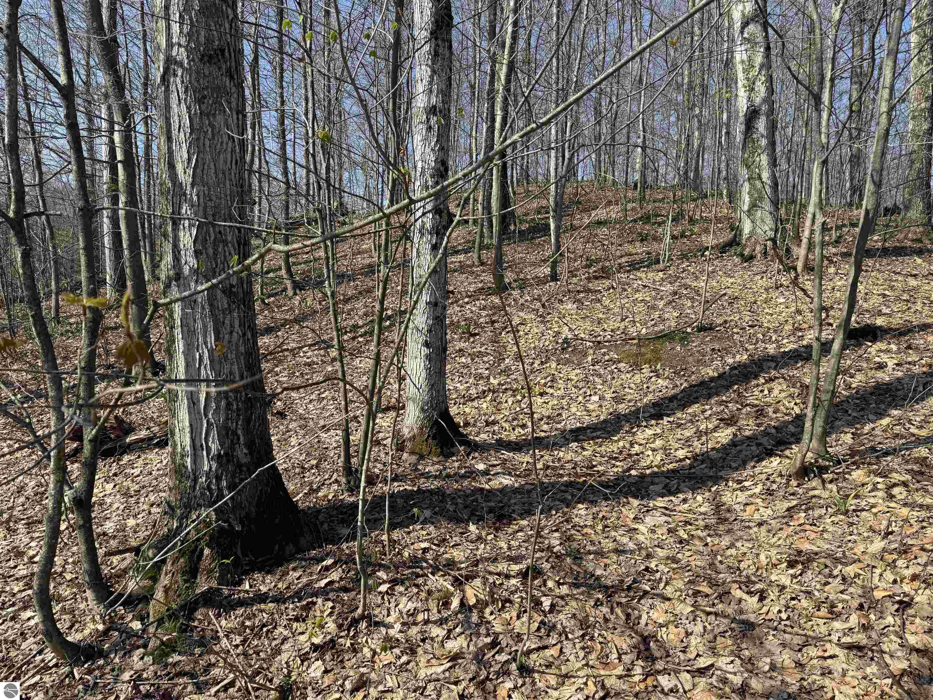 0000 W Timber View Trail