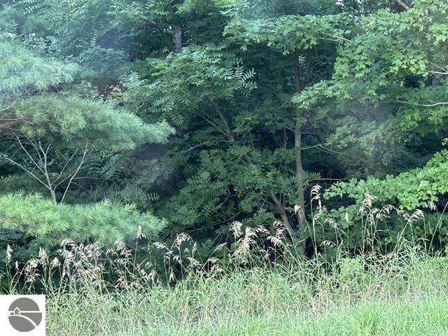 21025 Cadillac Highway