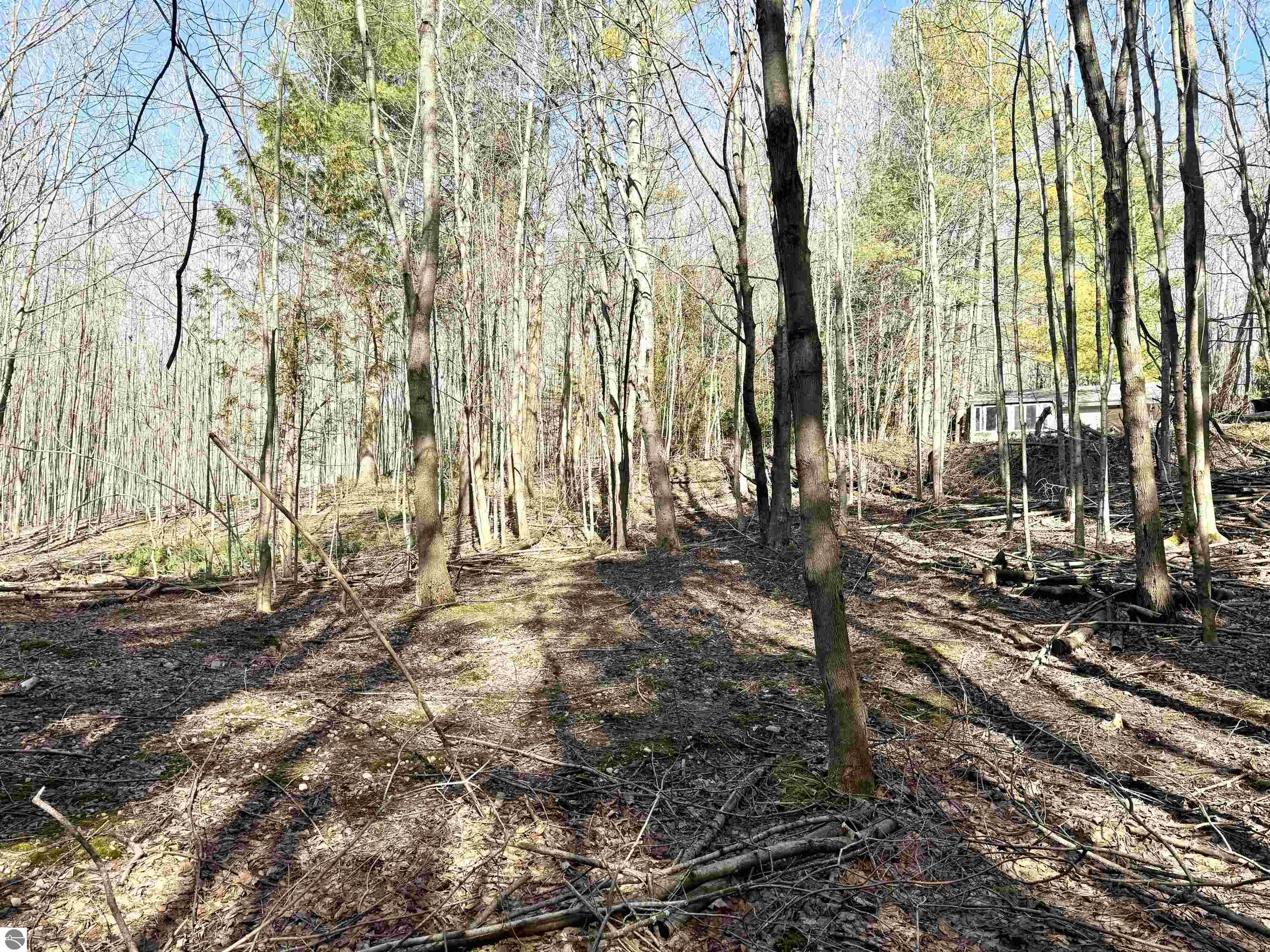 161 W Nachazel Road