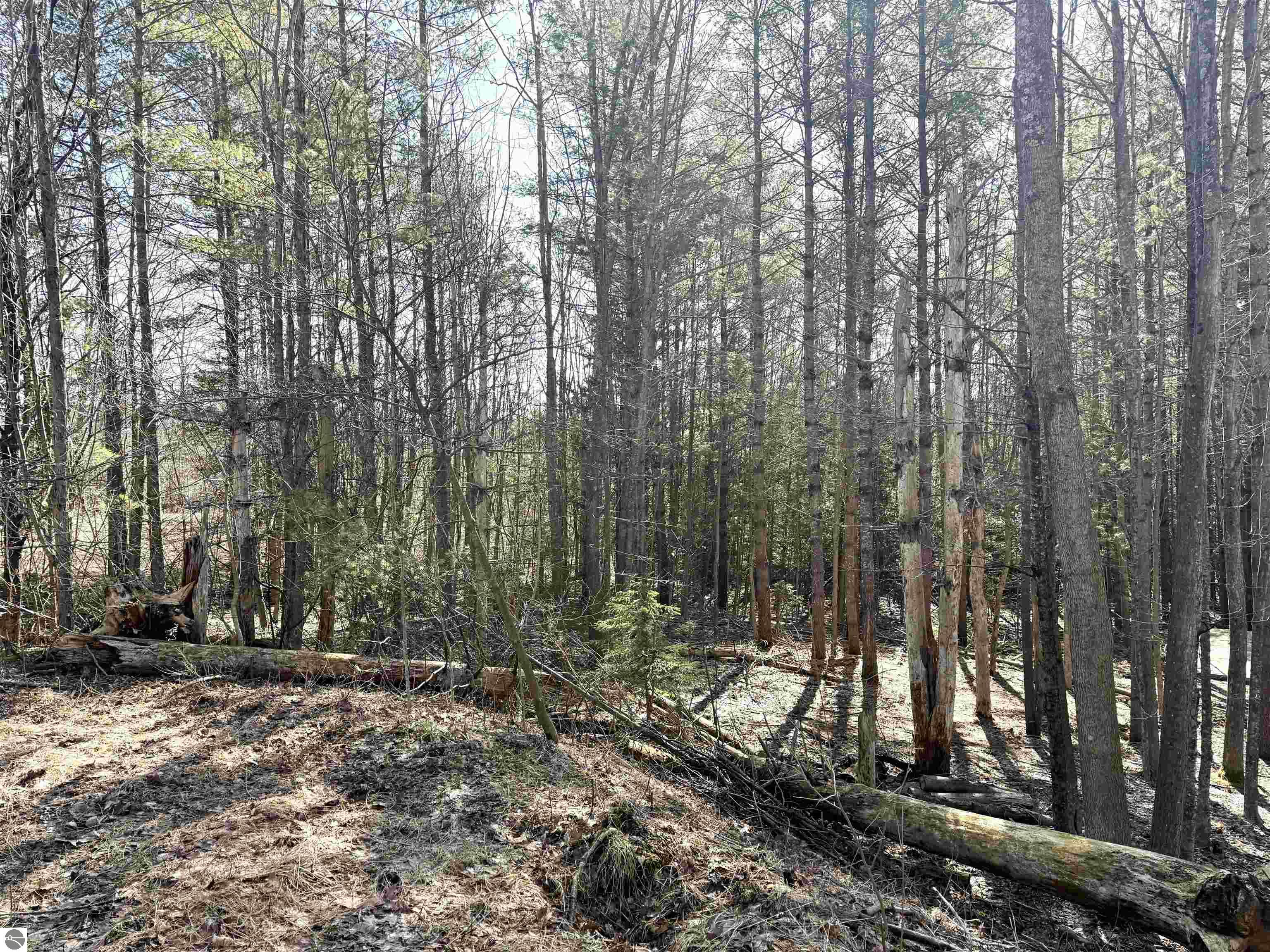 161 W Nachazel Road