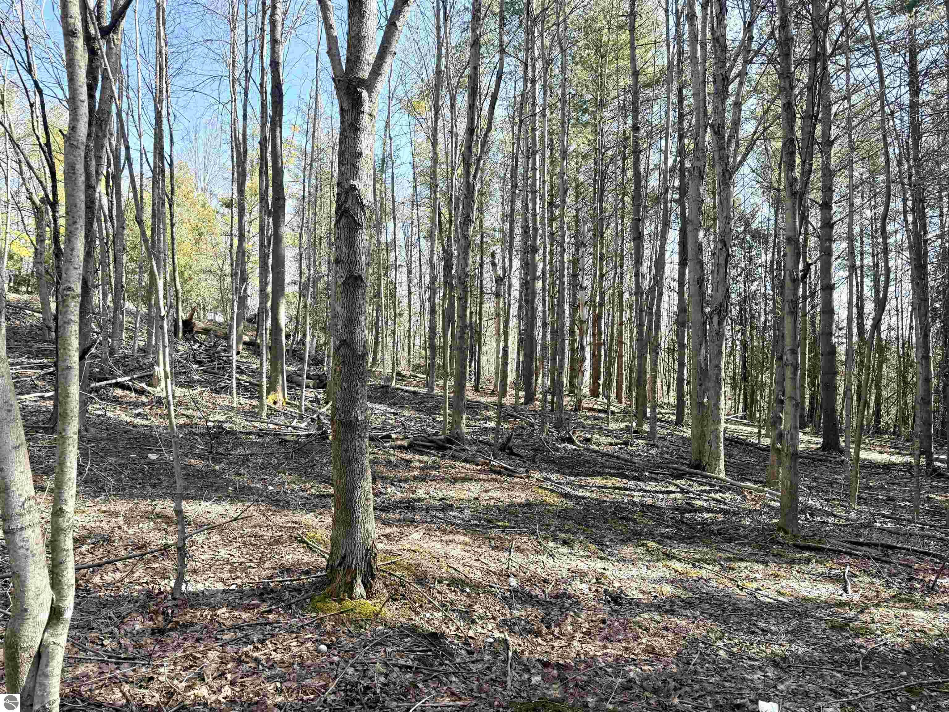 161 W Nachazel Road