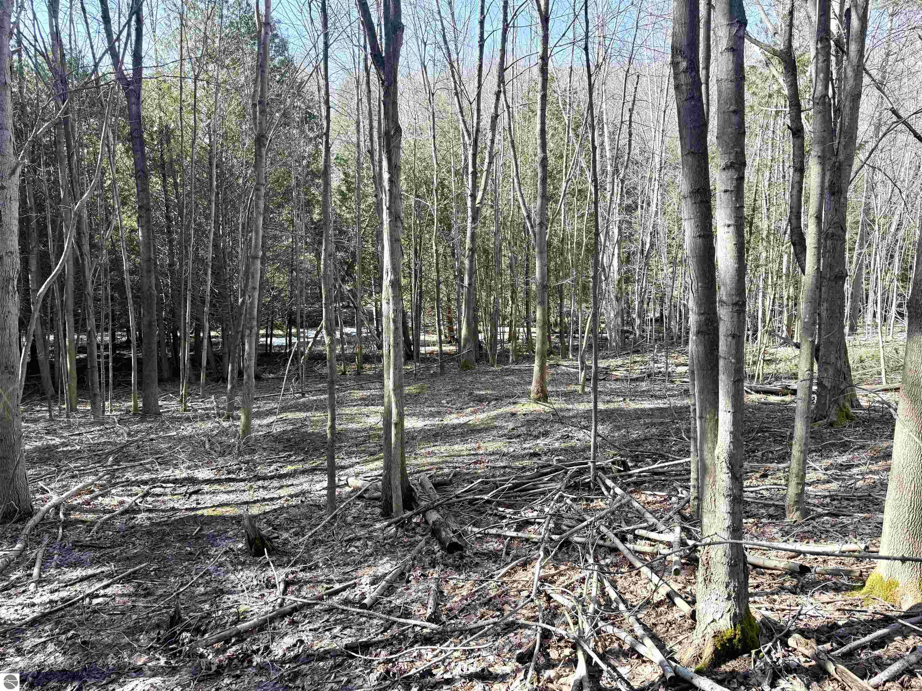 161 W Nachazel Road