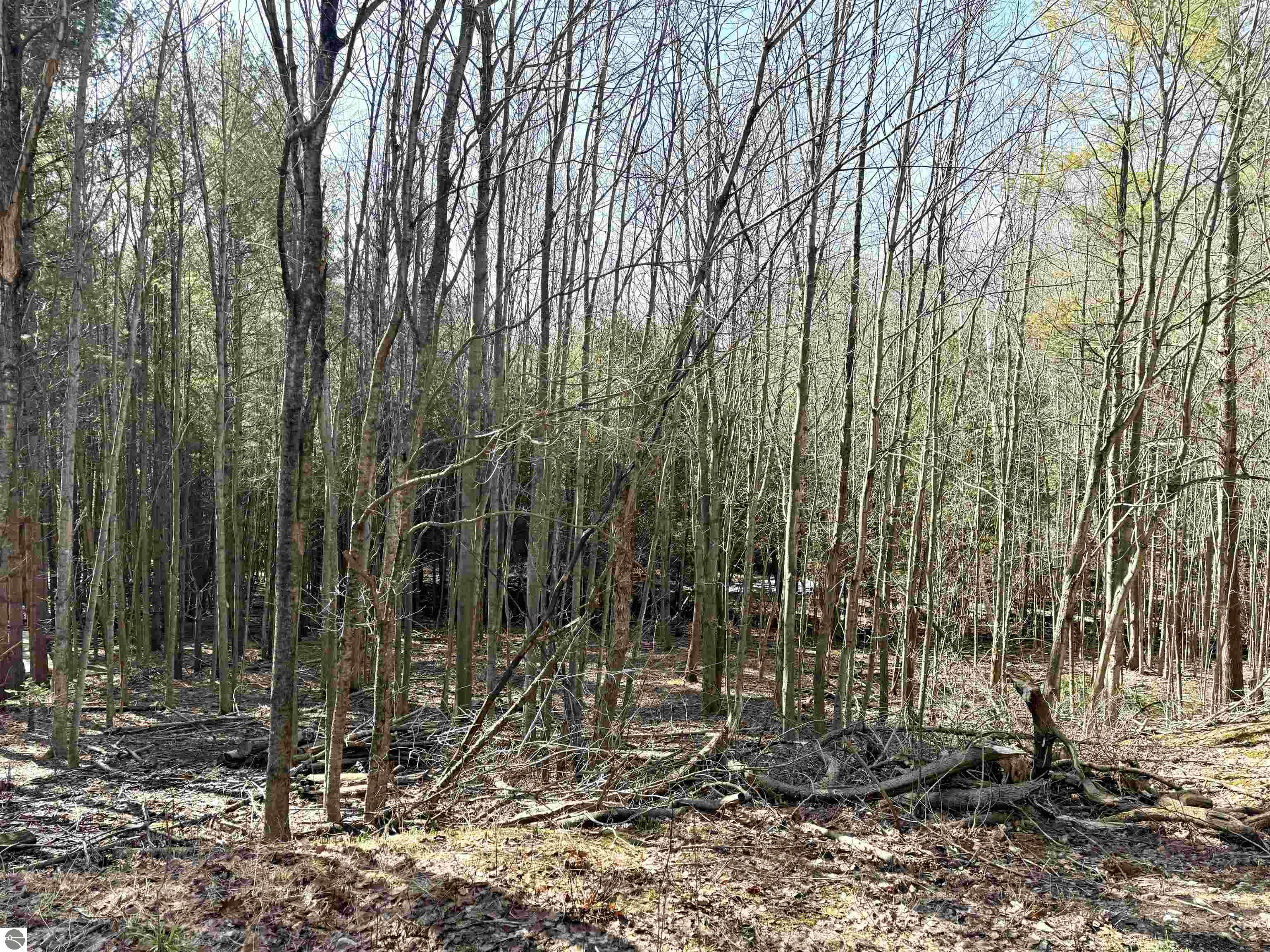 161 W Nachazel Road
