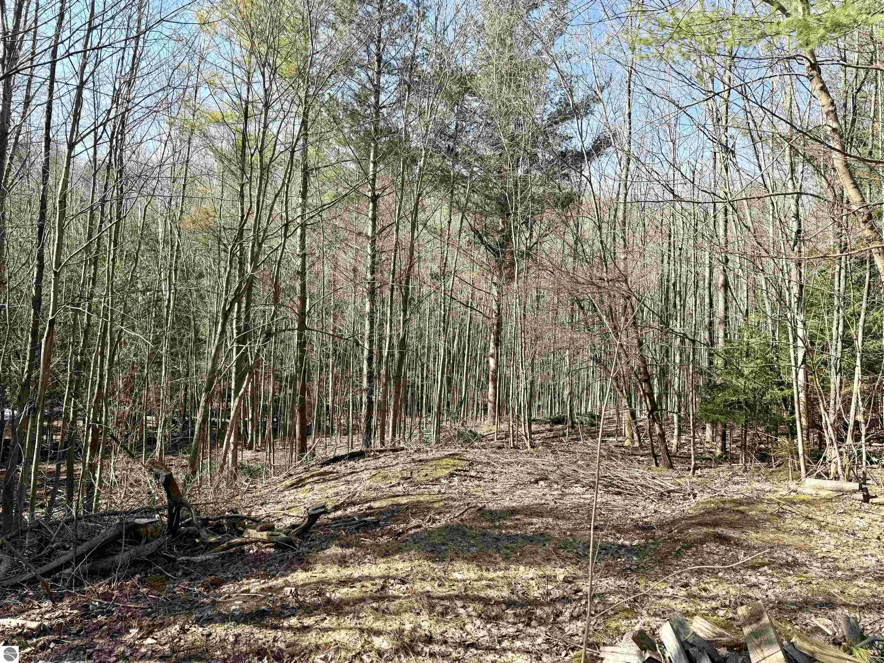 161 W Nachazel Road