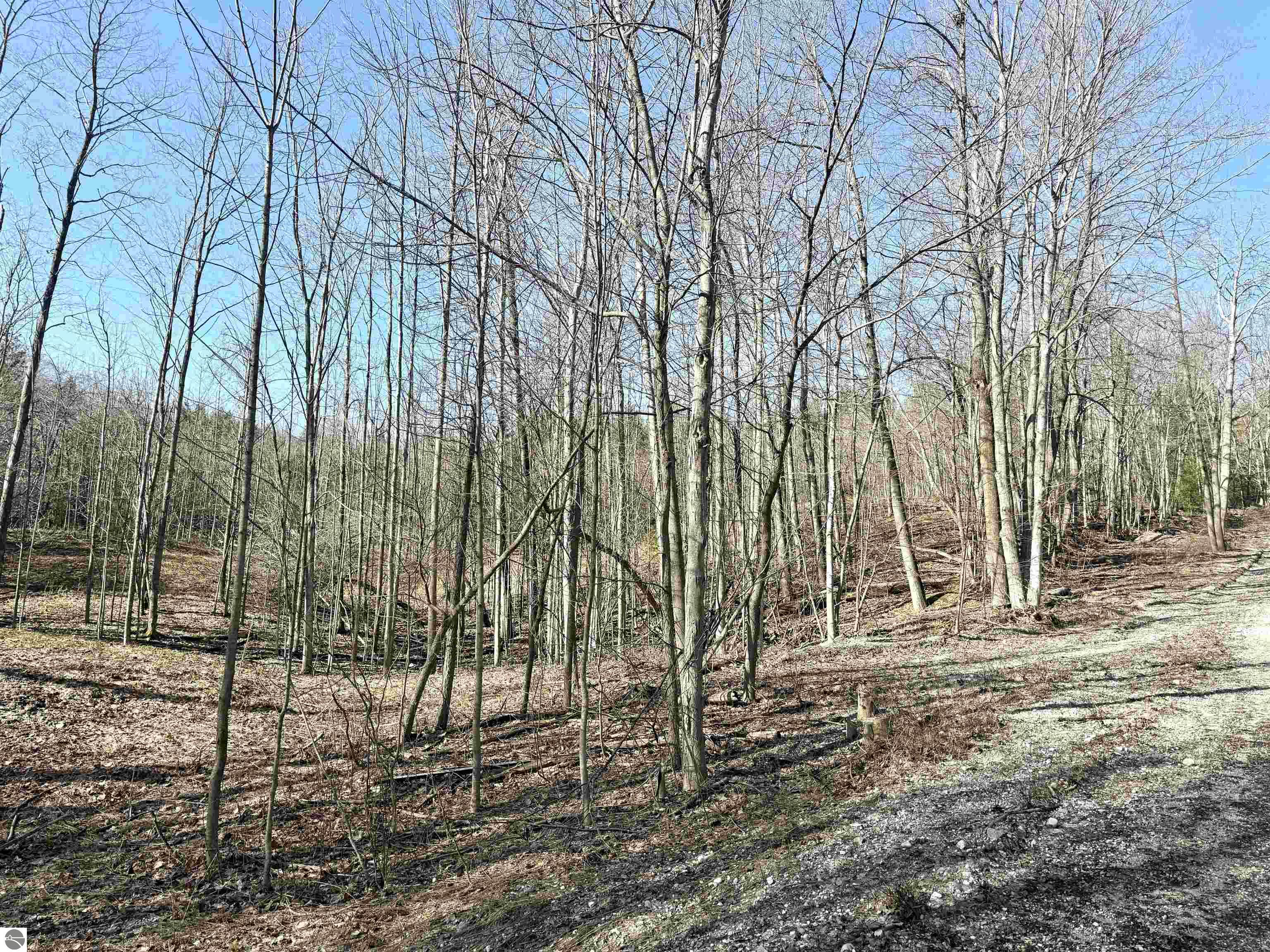 161 W Nachazel Road