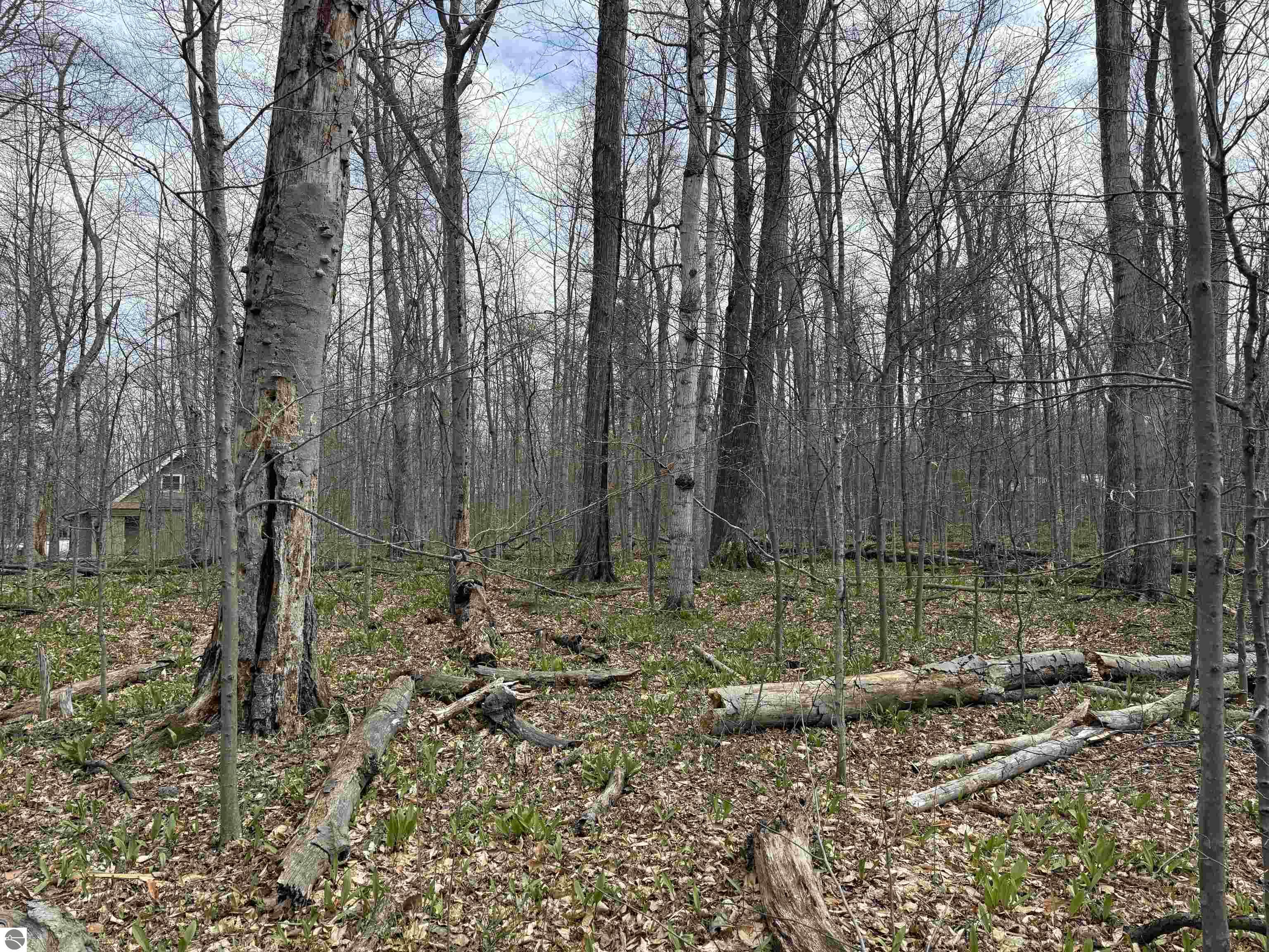 0000 E Sugar Maple Drive