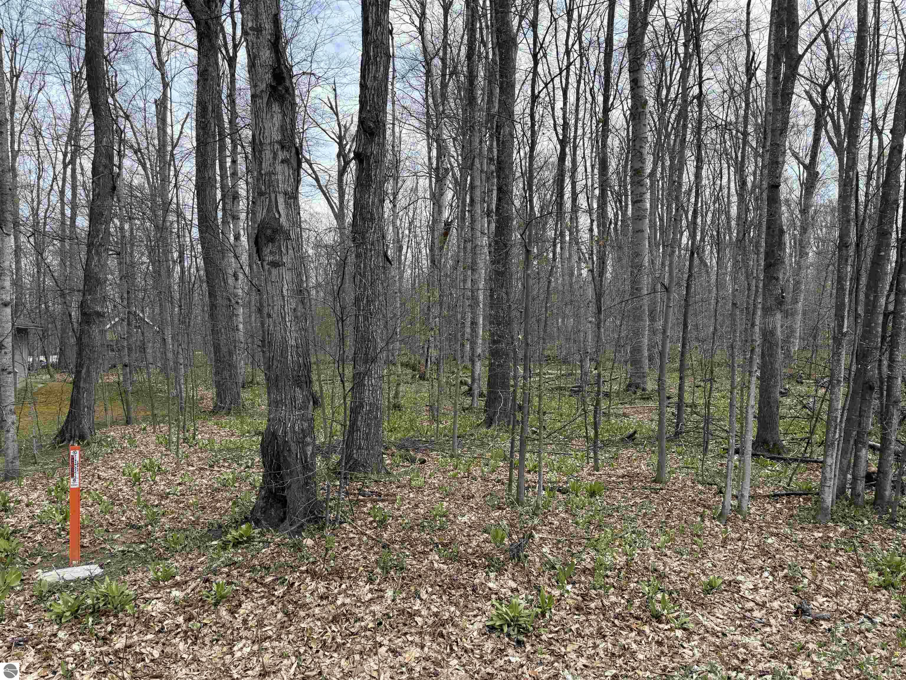 0000 E Sugar Maple Drive