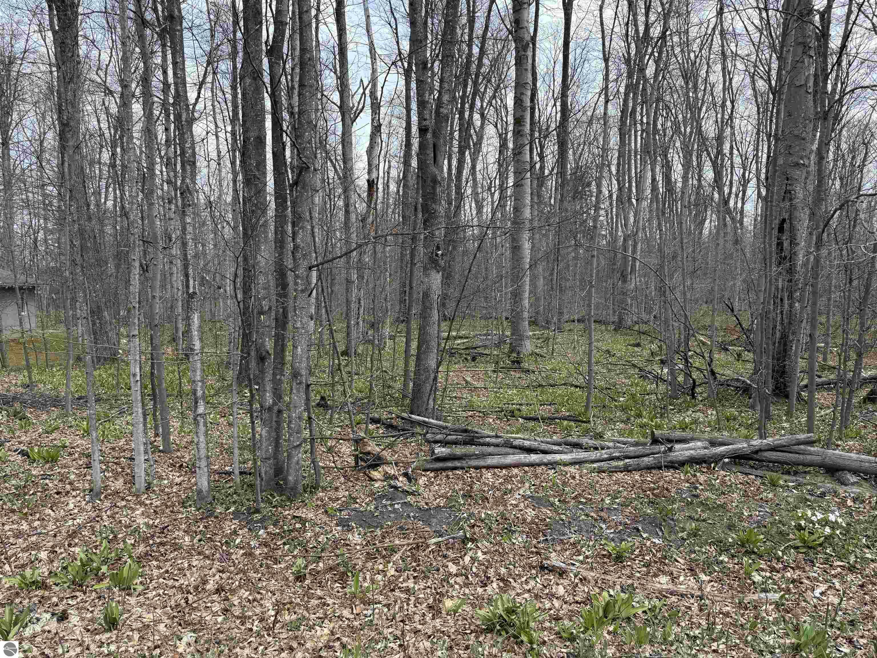 0000 E Sugar Maple Drive