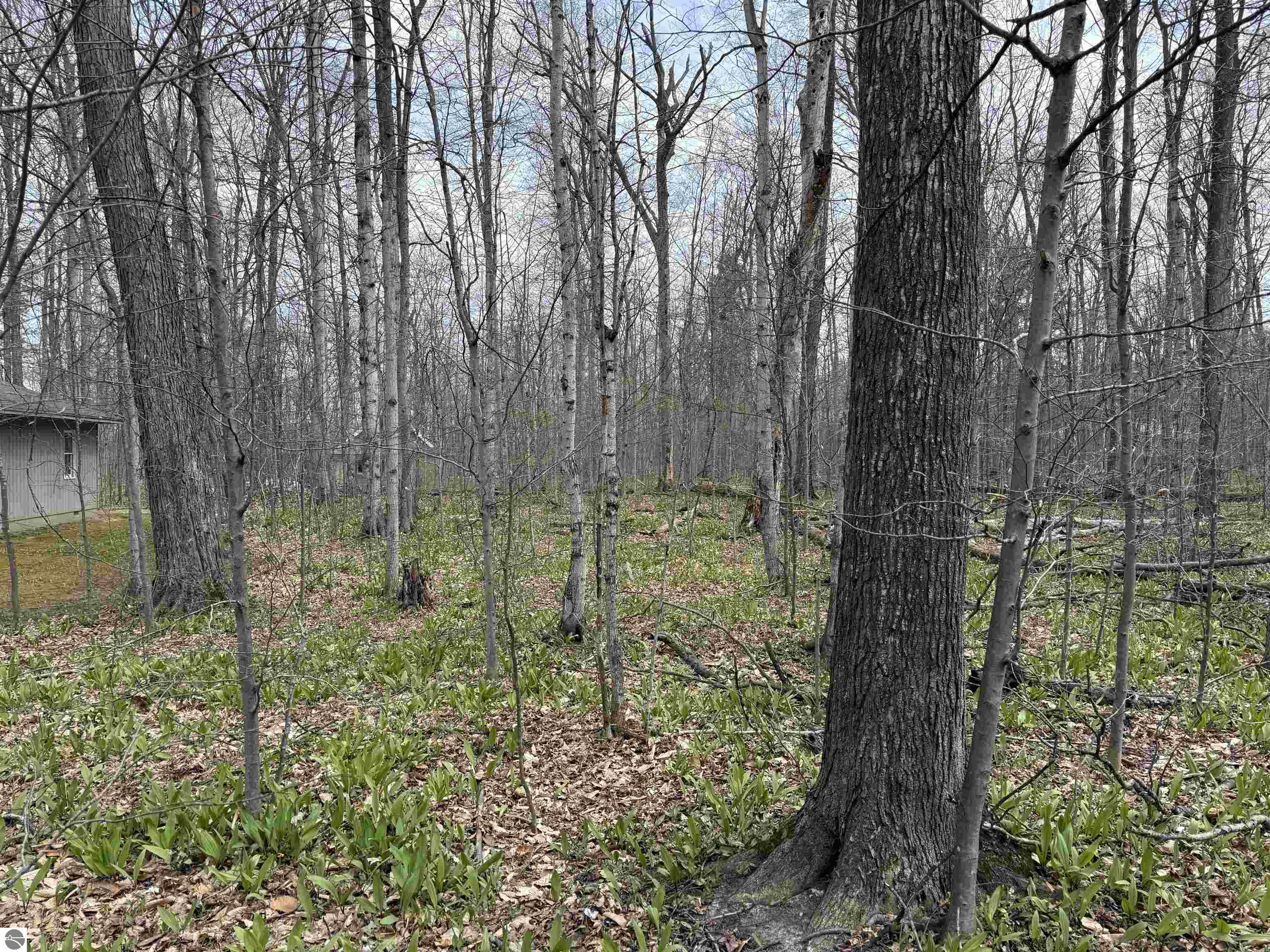 0000 E Sugar Maple Drive
