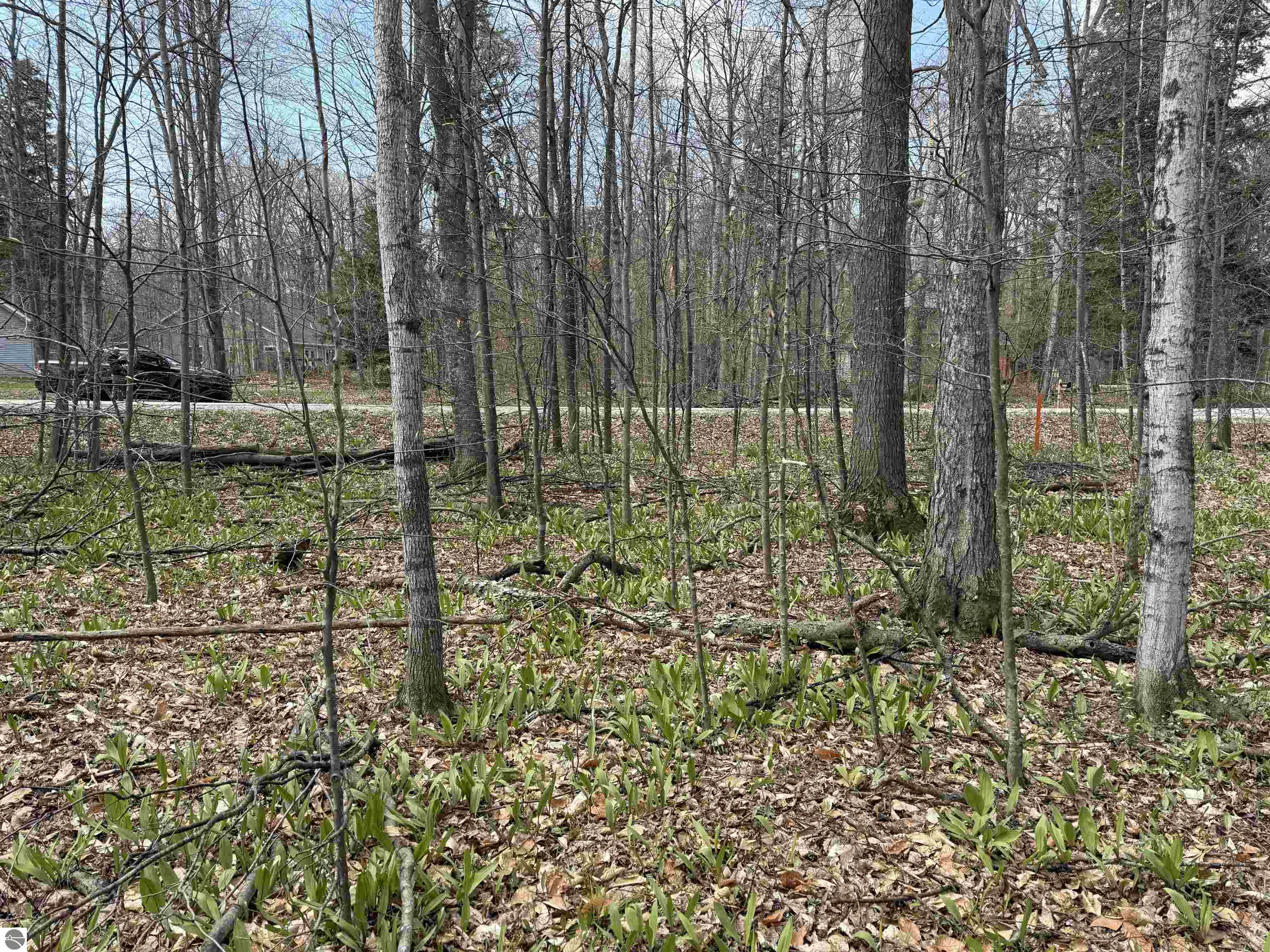 0000 E Sugar Maple Drive
