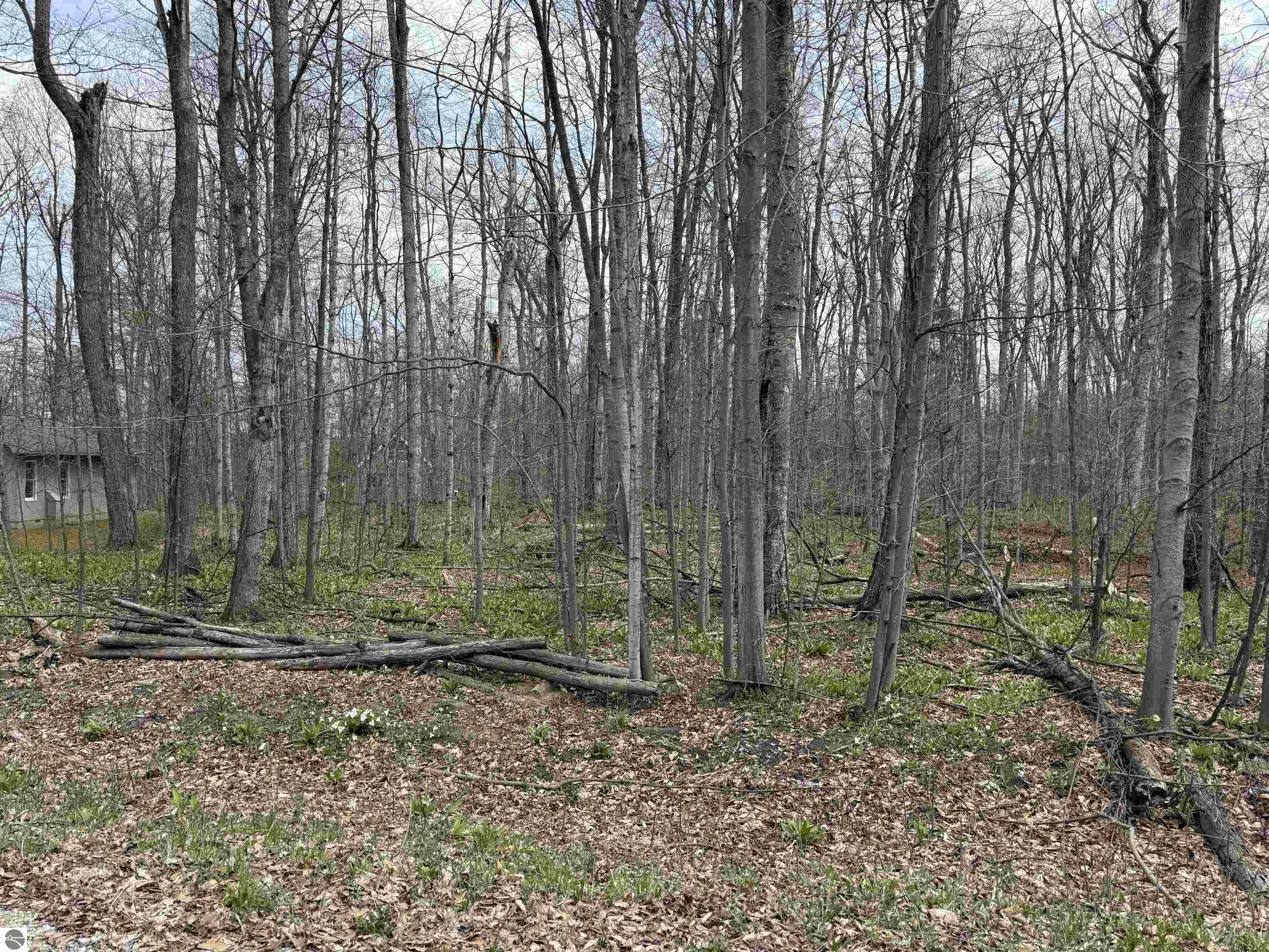 0000 E Sugar Maple Drive