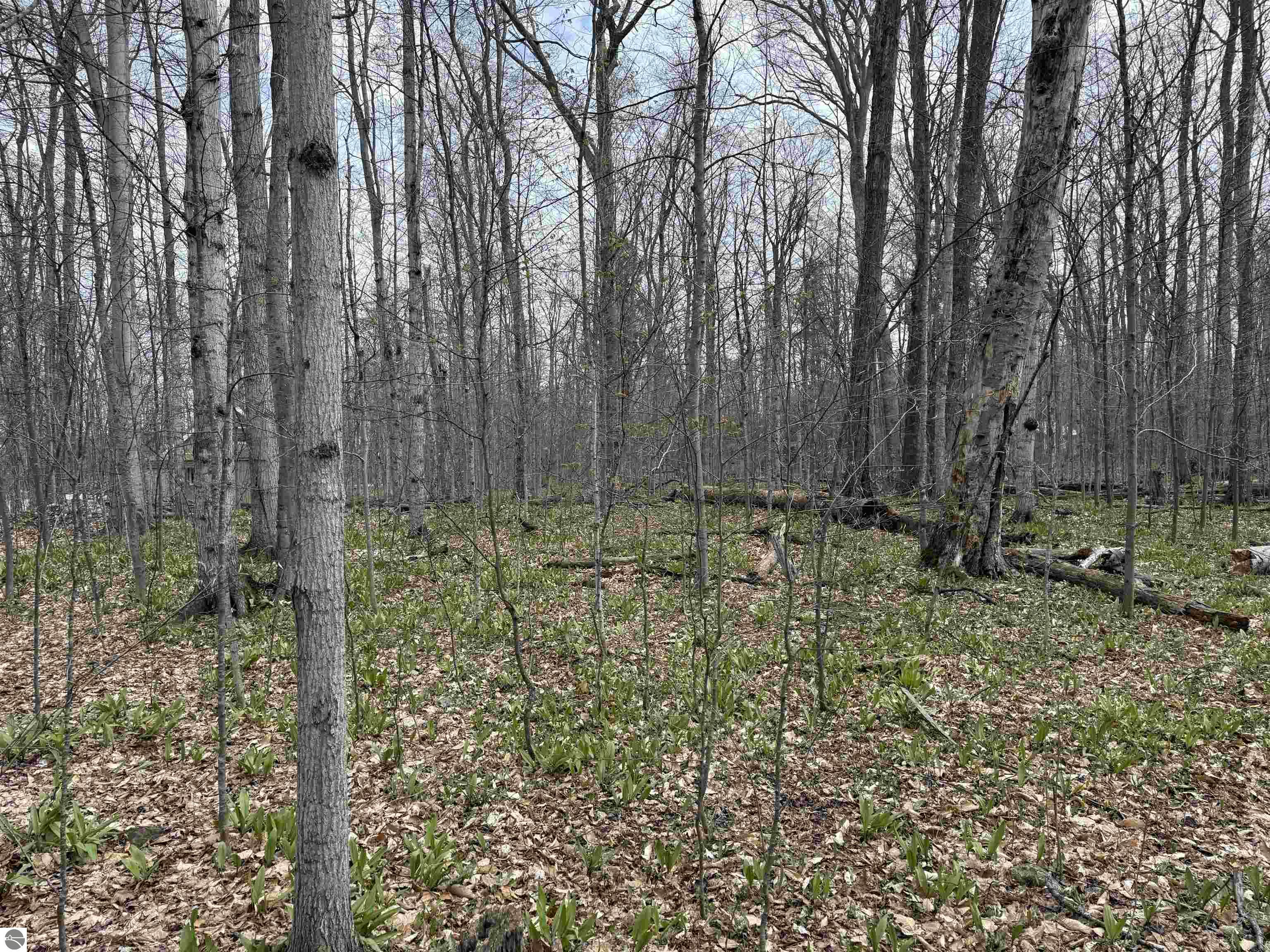 0000 E Sugar Maple Drive