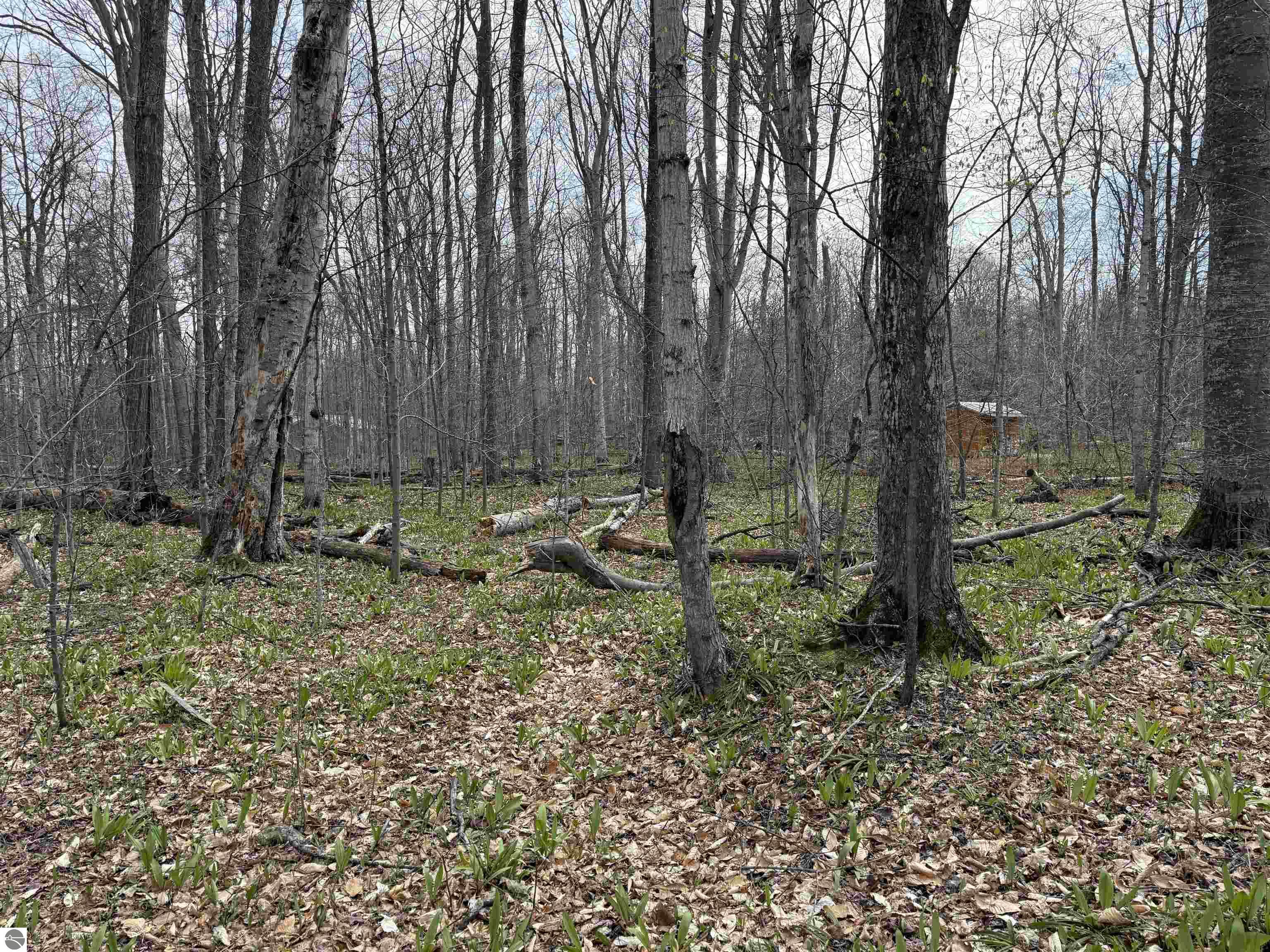 0000 E Sugar Maple Drive
