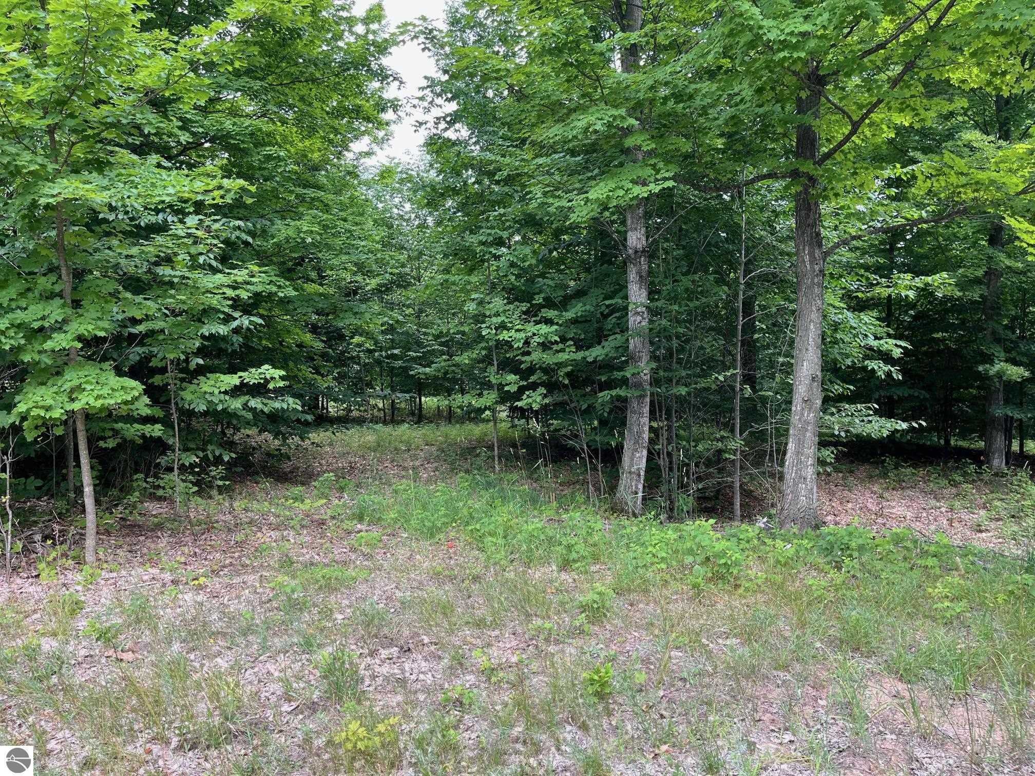 011 W Timber View Trail