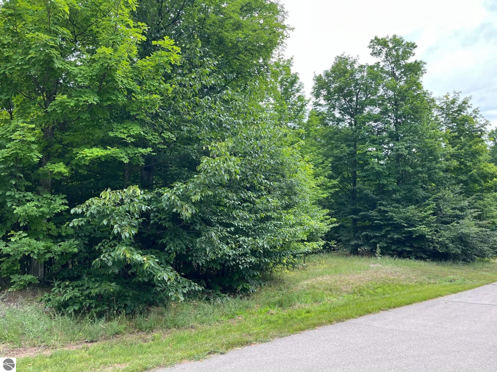 011 W Timber View Trail