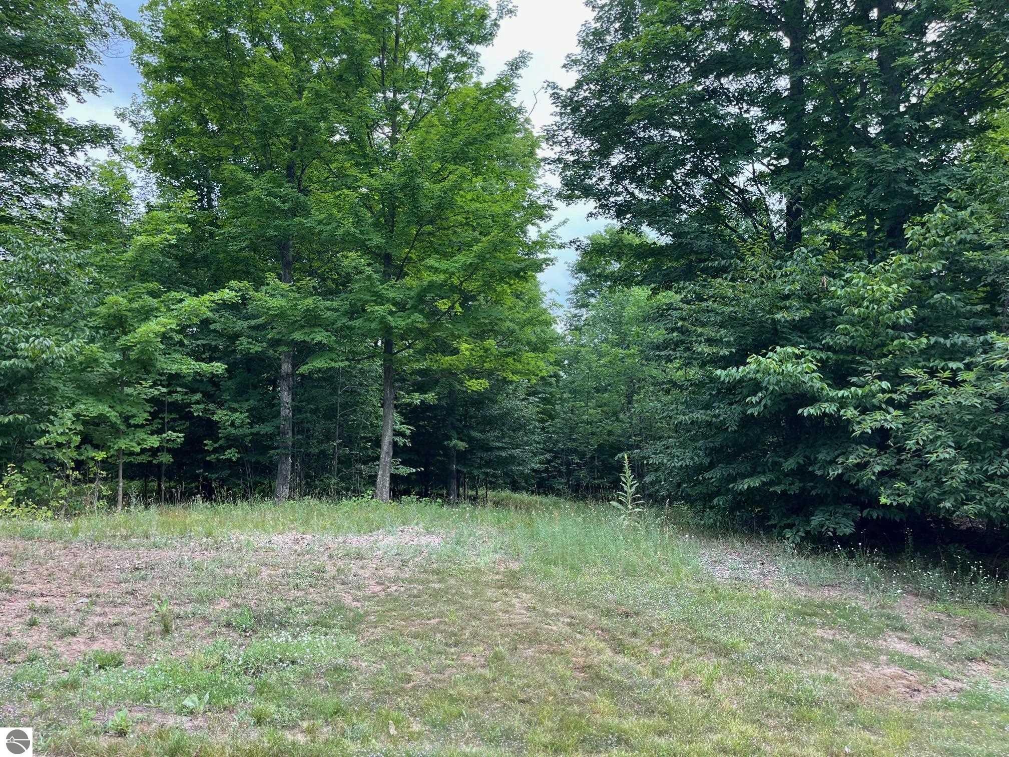 011 W Timber View Trail