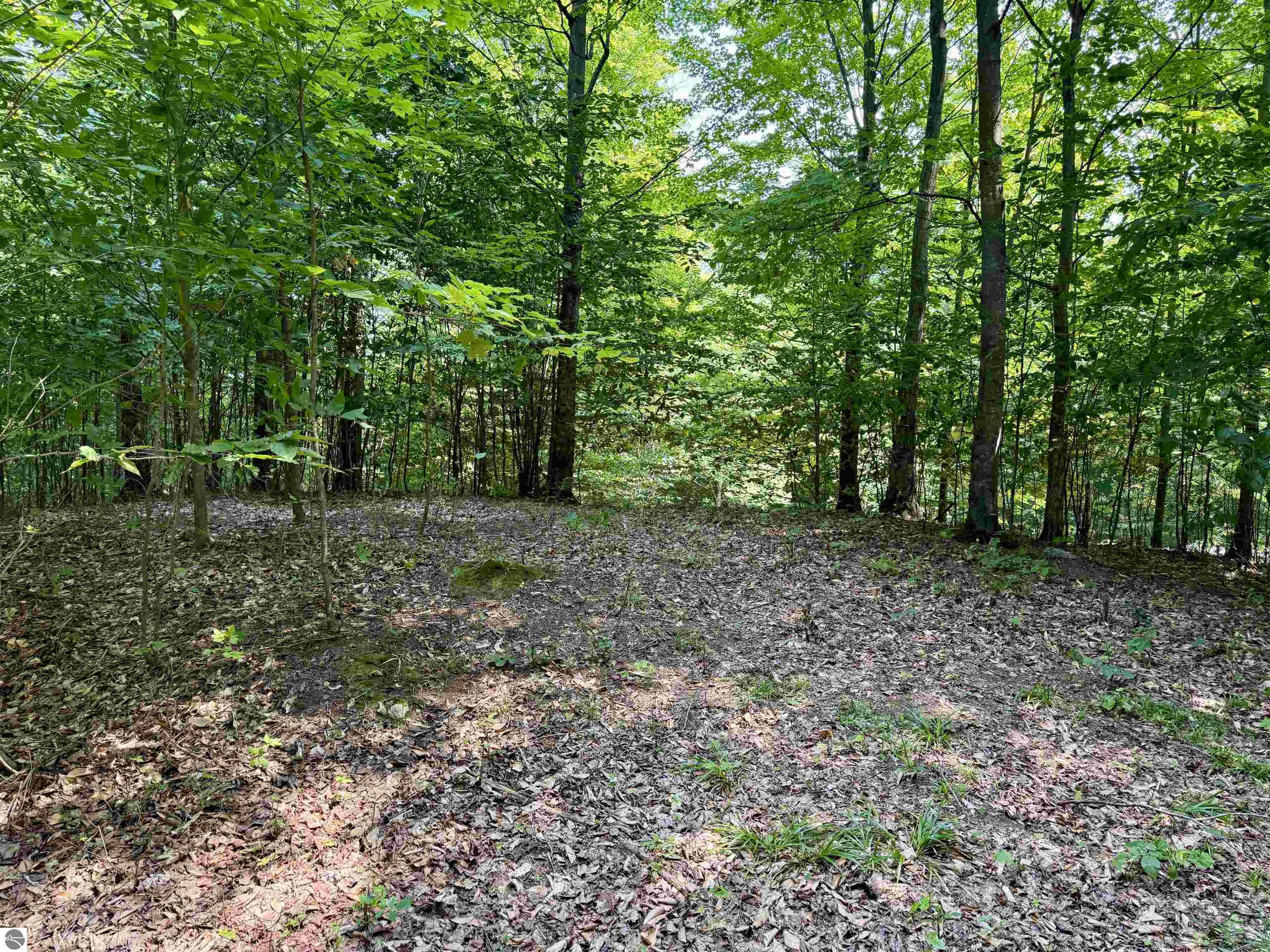 Lot 15 S Mistys Trail