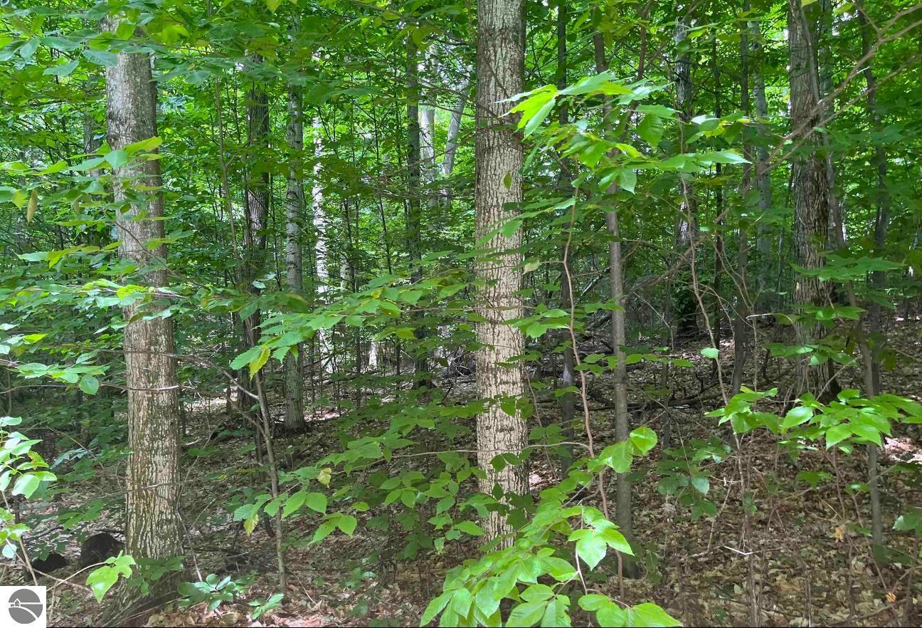 Lot 15 S Mistys Trail