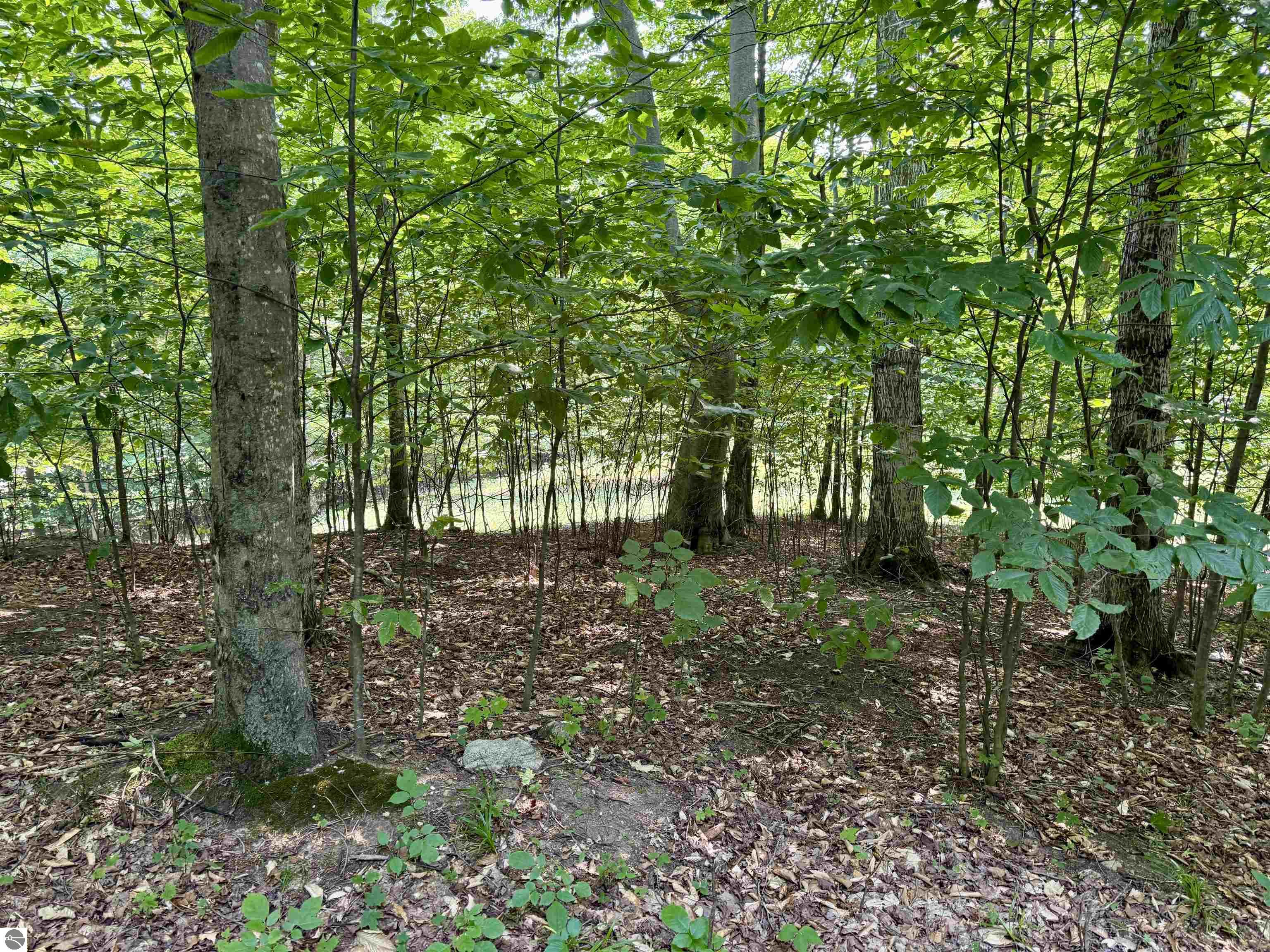 Lot 15 S Mistys Trail