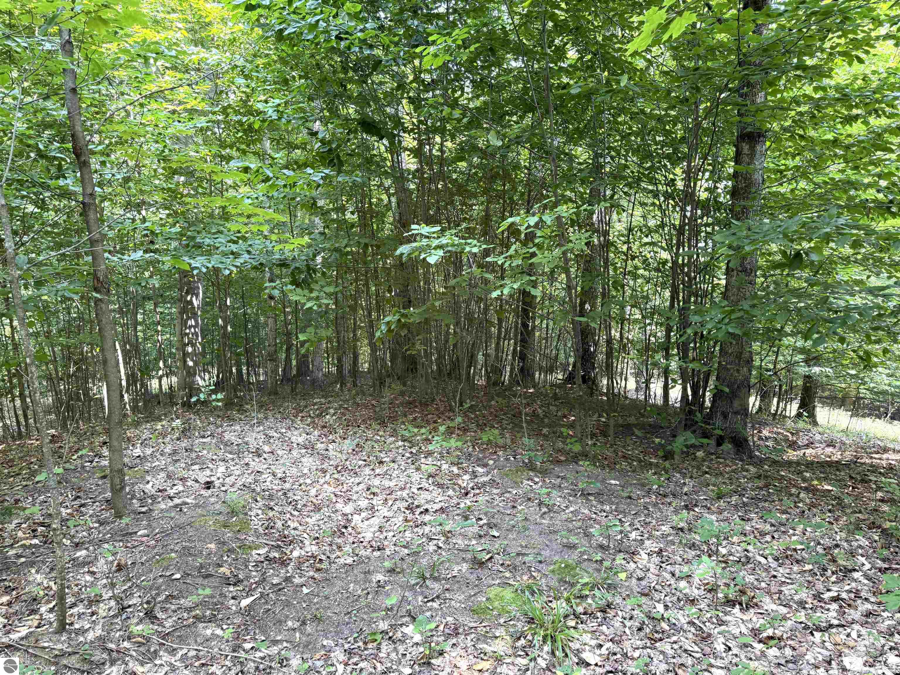 Lot 15 S Mistys Trail