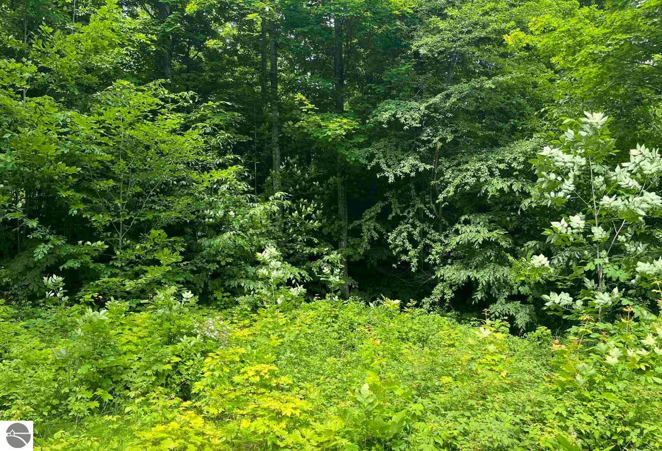 Lot 15 S Mistys Trail
