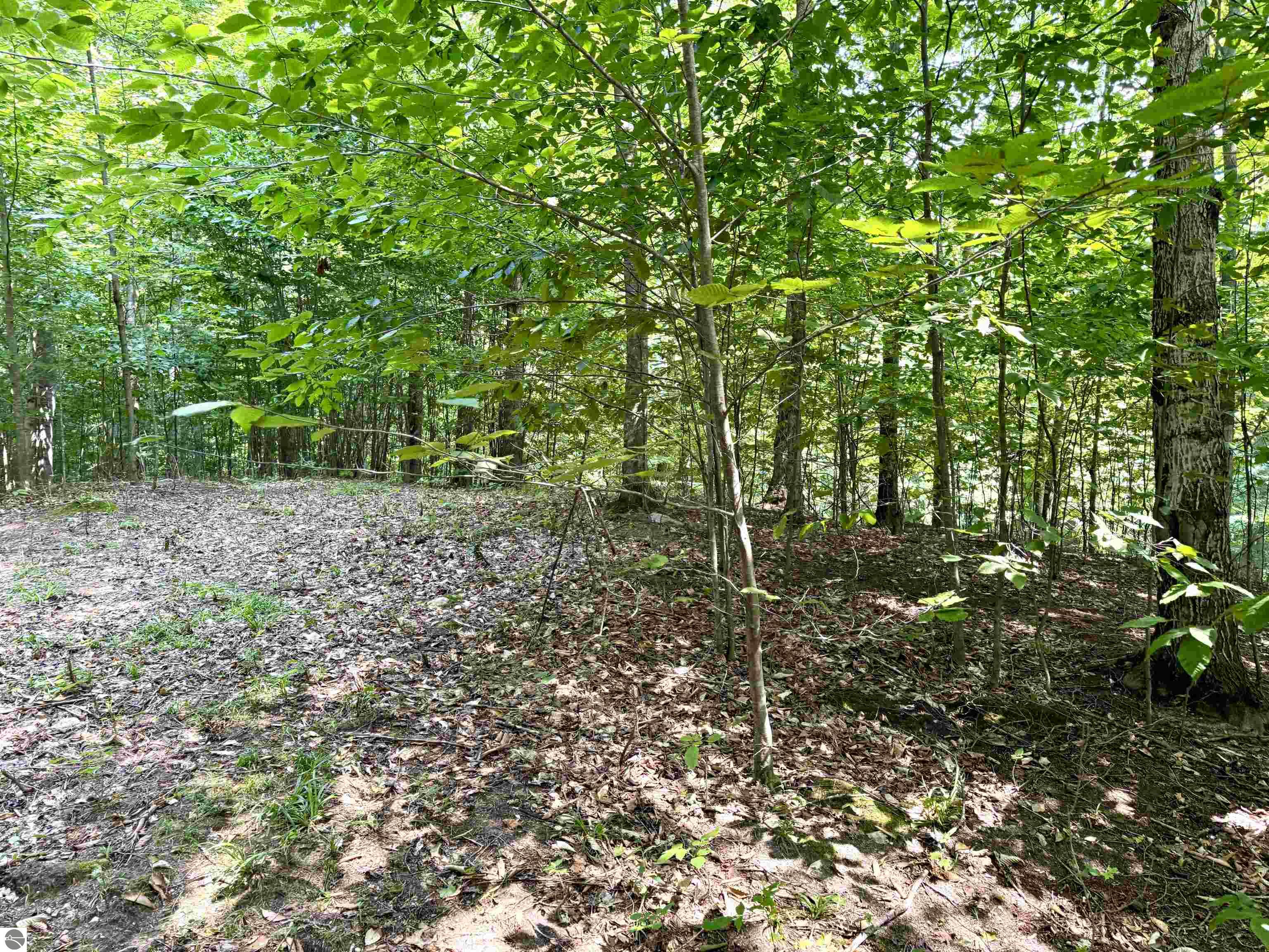 Lot 15 S Mistys Trail