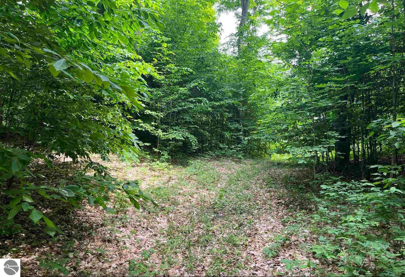 Lot 15 S Mistys Trail