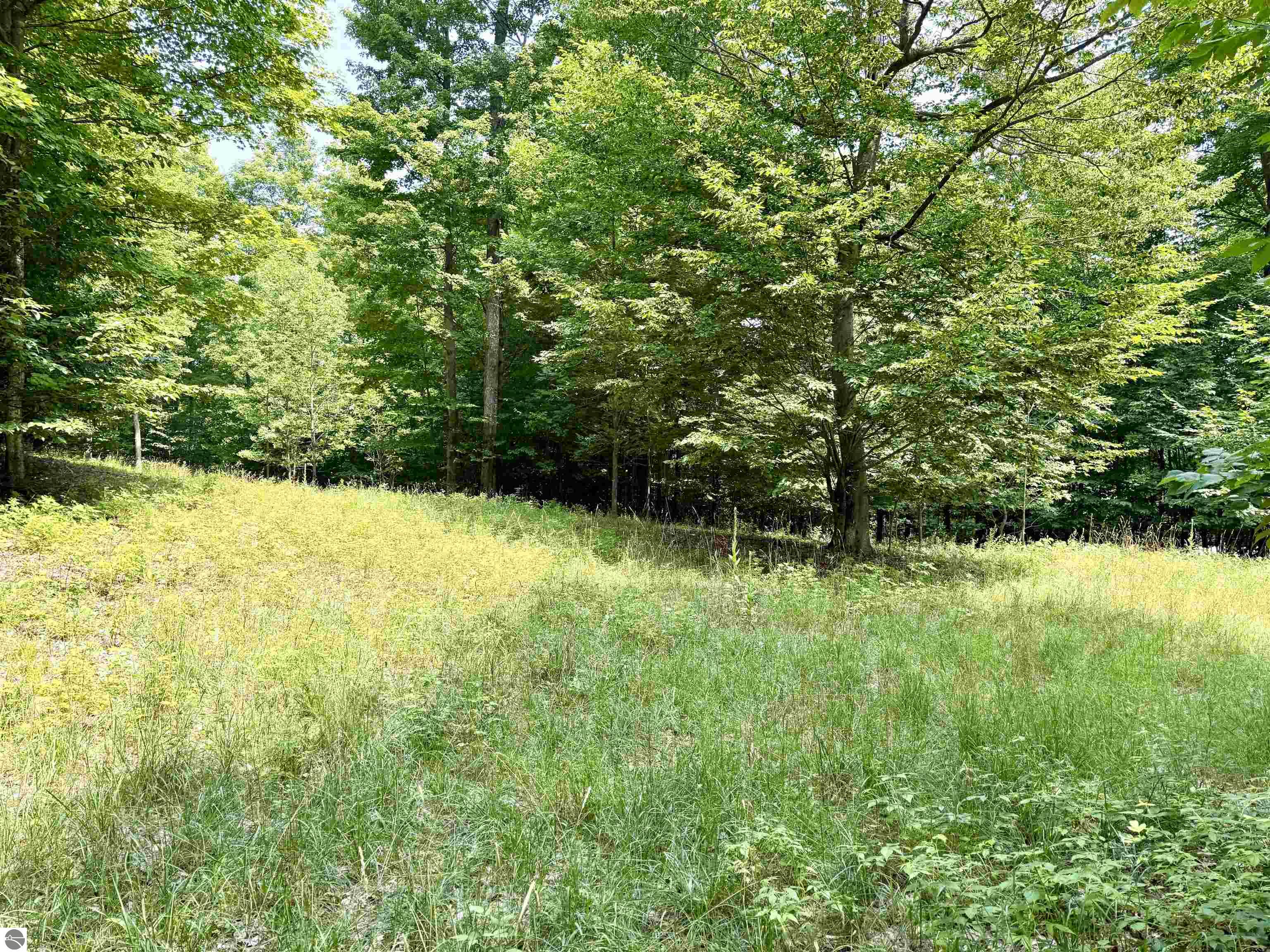 Lot 15 S Mistys Trail