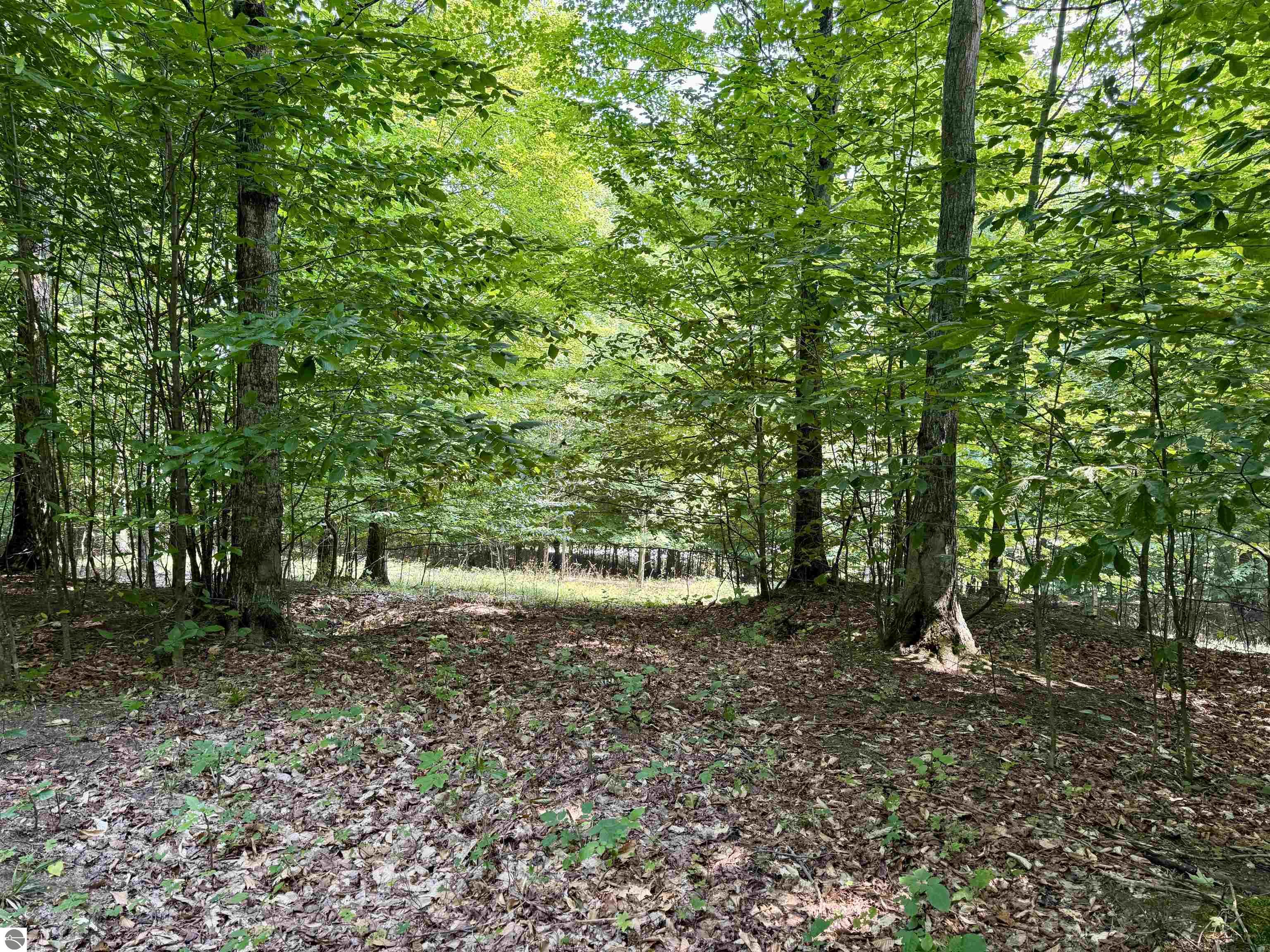 Lot 15 S Mistys Trail