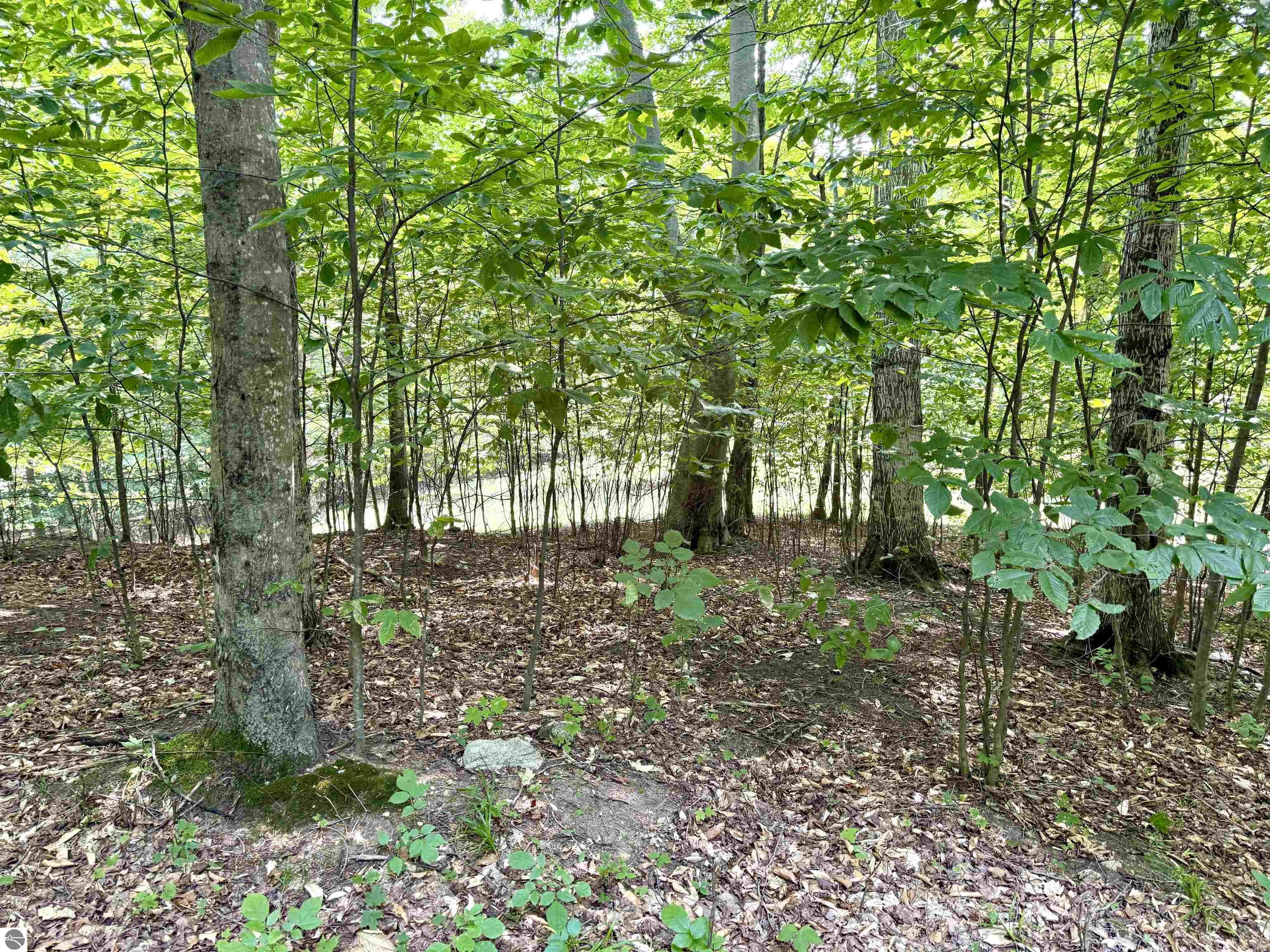 Lot 15 S Mistys Trail