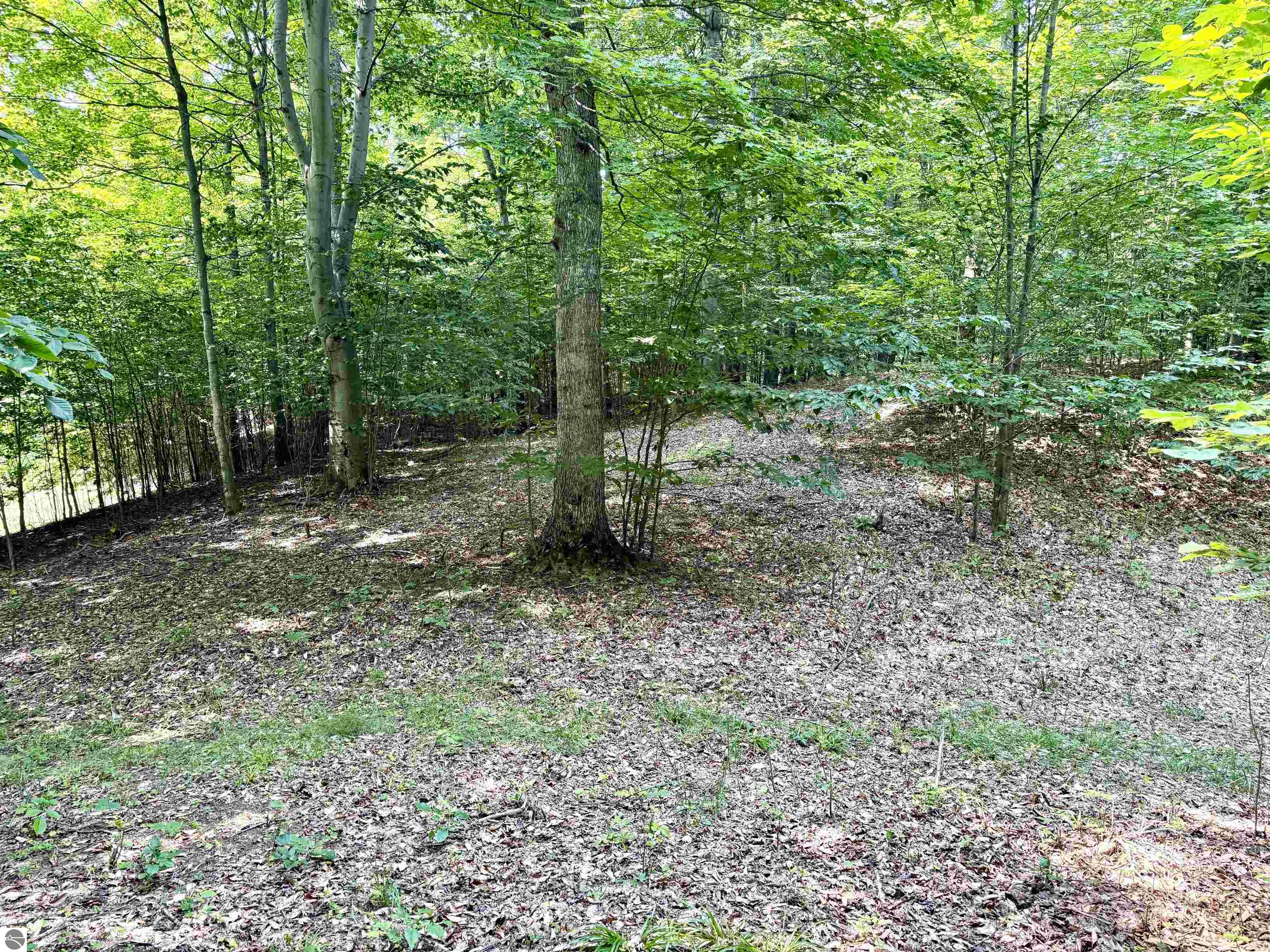 Lot 15 S Mistys Trail