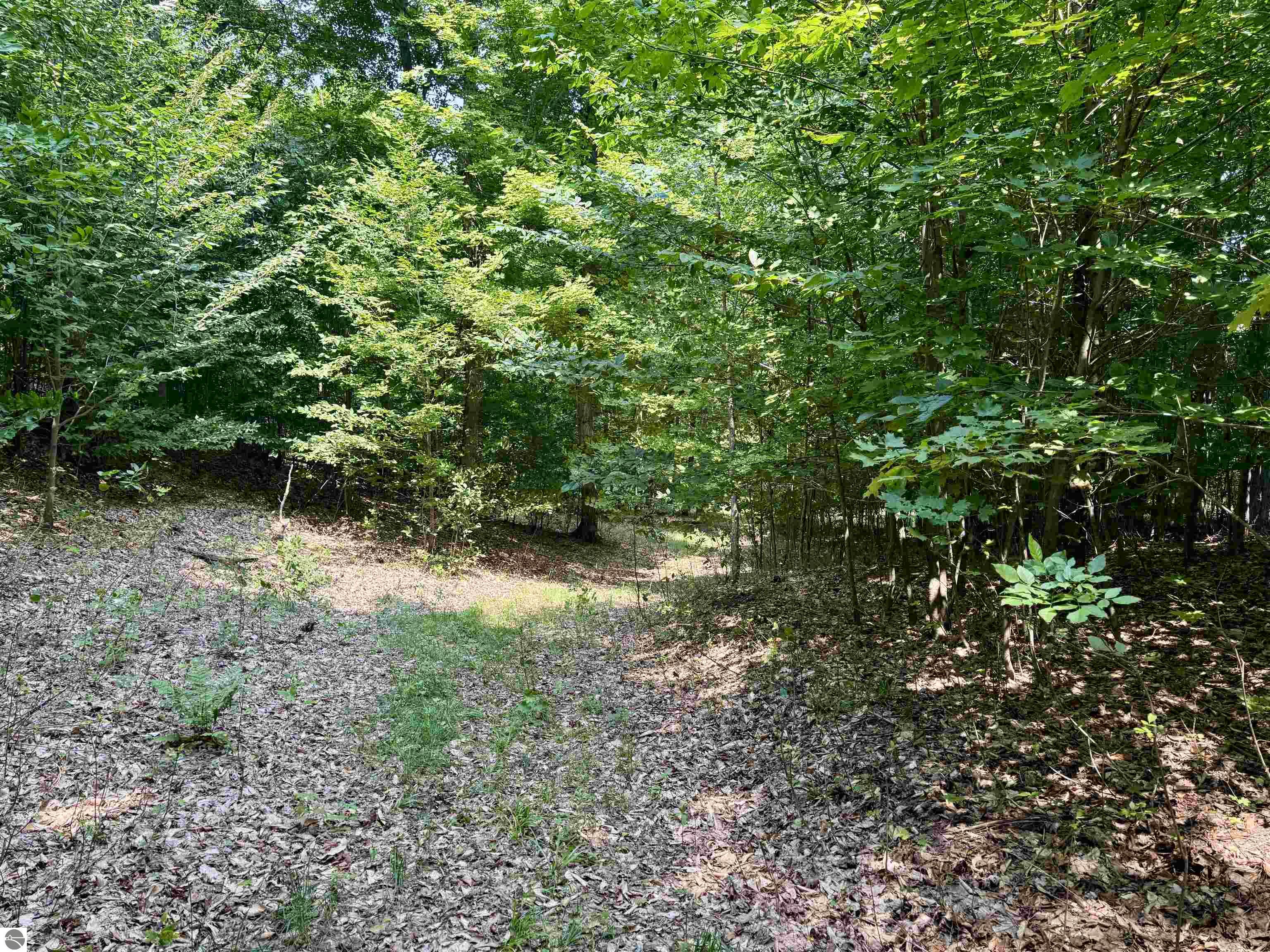 Lot 15 S Mistys Trail