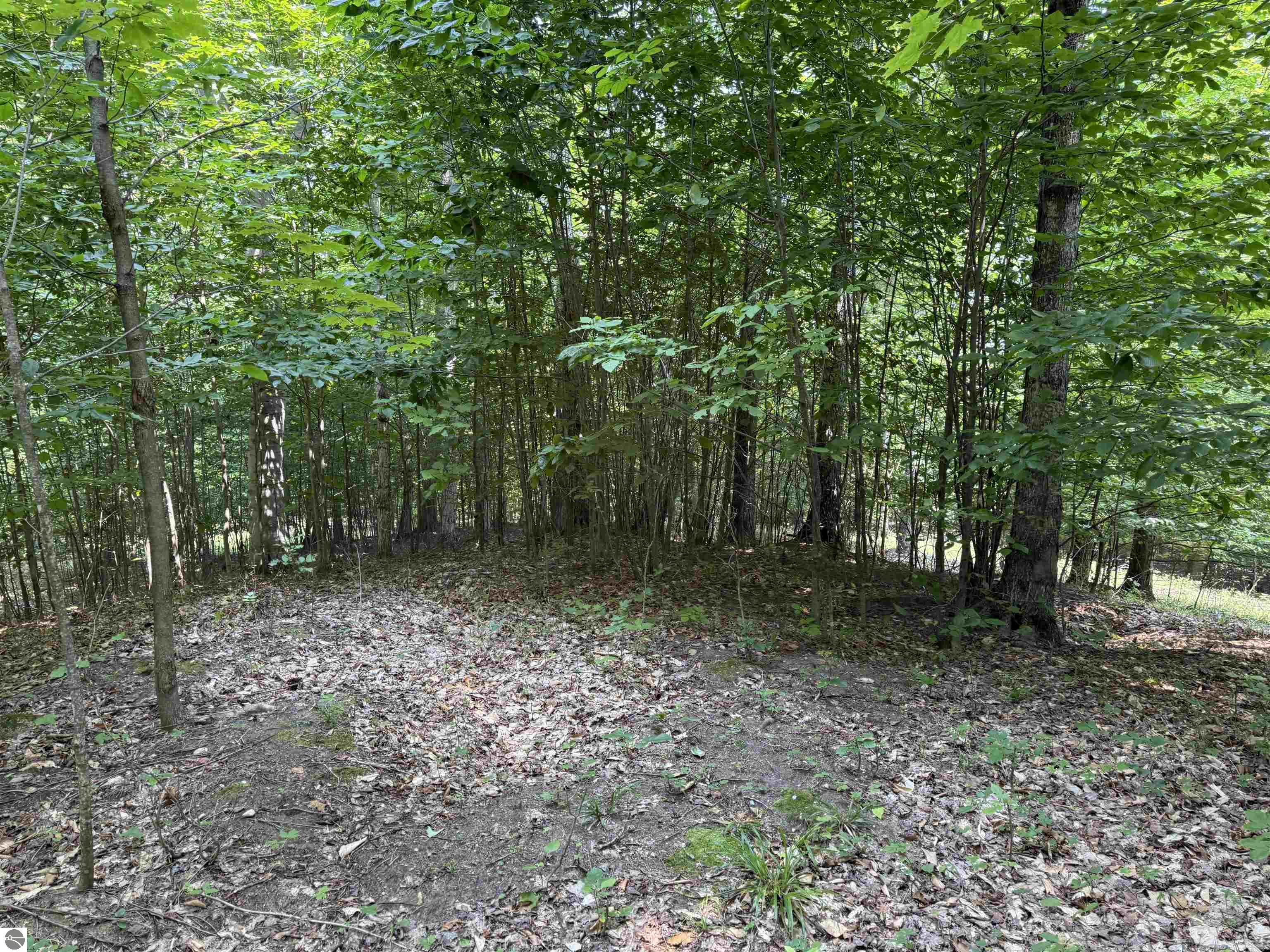 Lot 15 S Mistys Trail