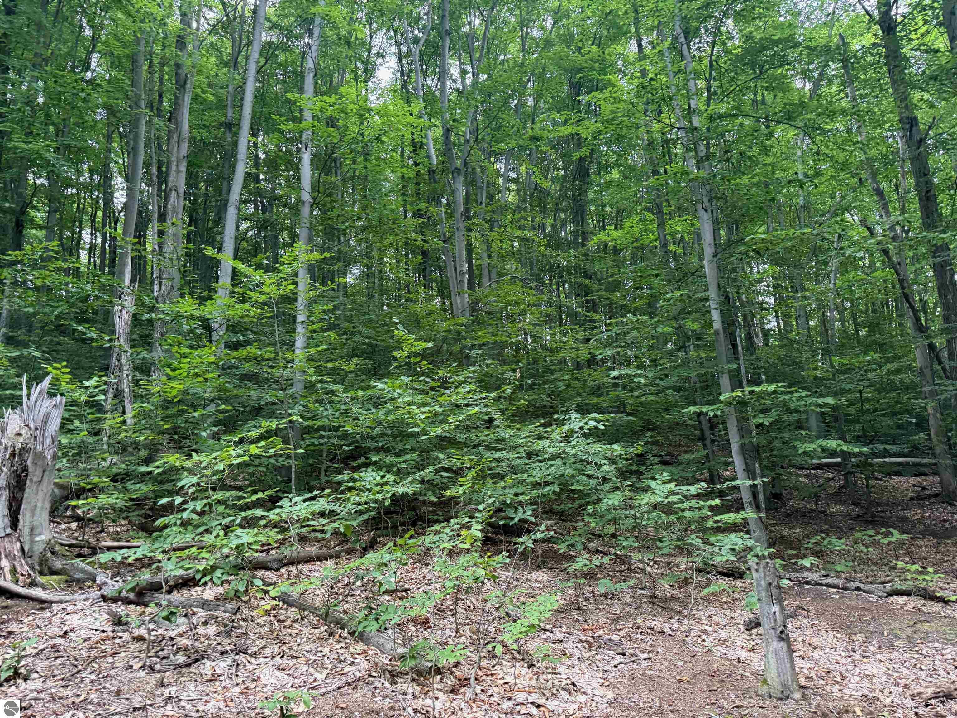 0000 S Bridle Trail