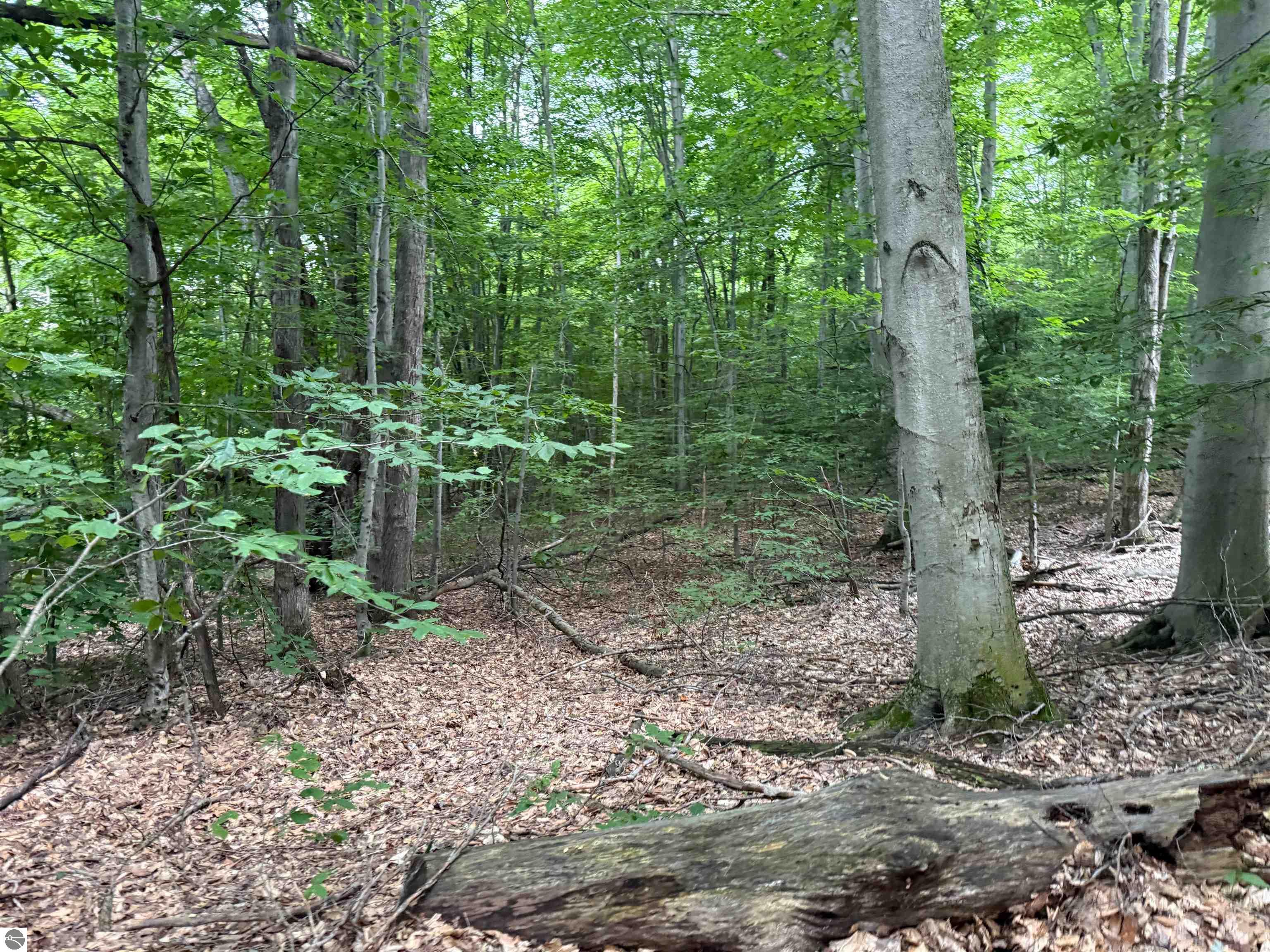 0000 S Bridle Trail