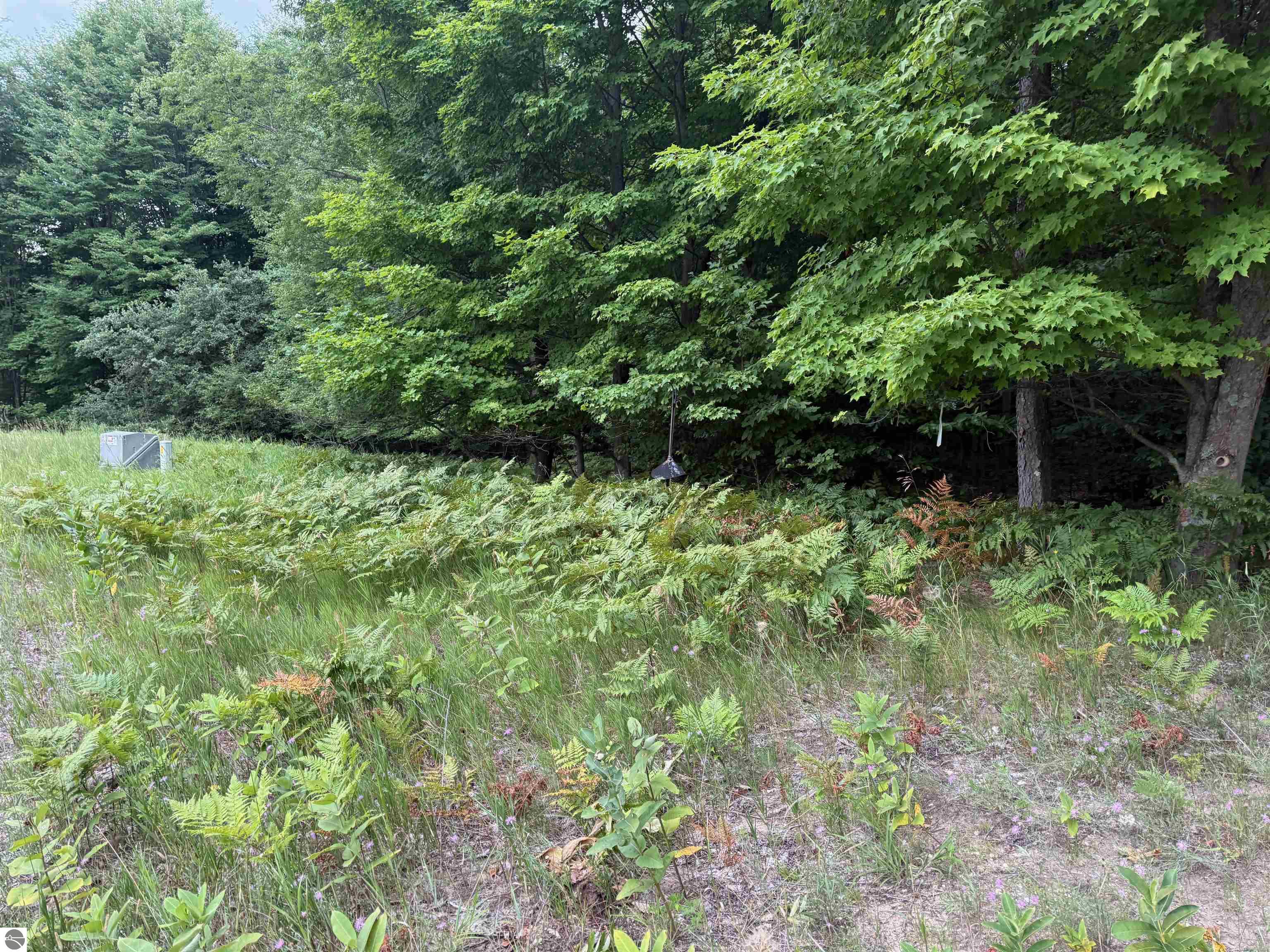 0000 S Bridle Trail