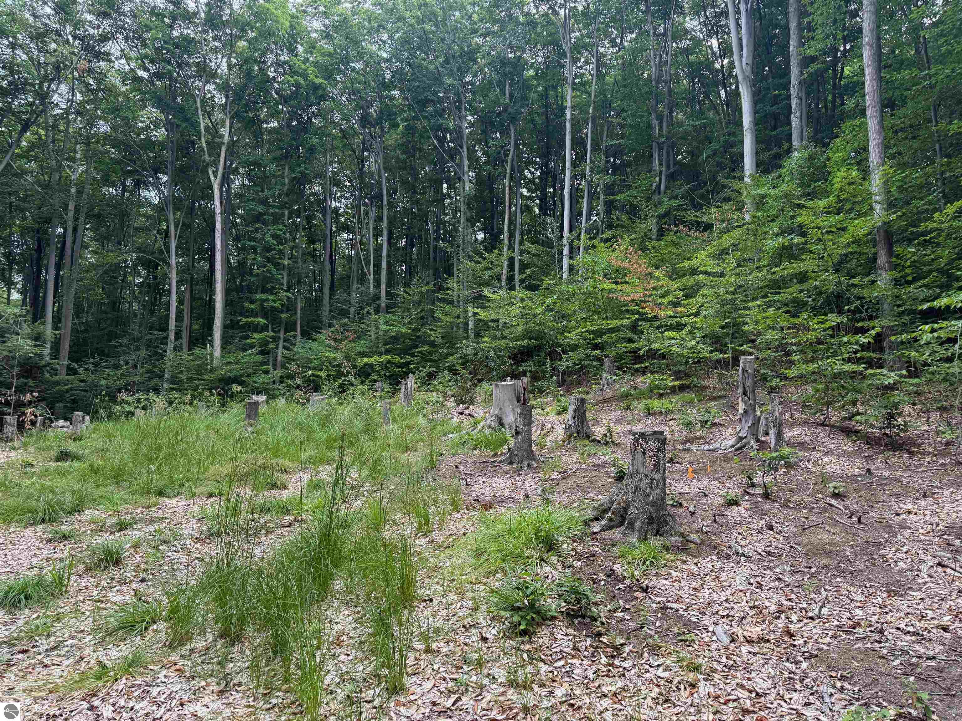 0000 S Bridle Trail
