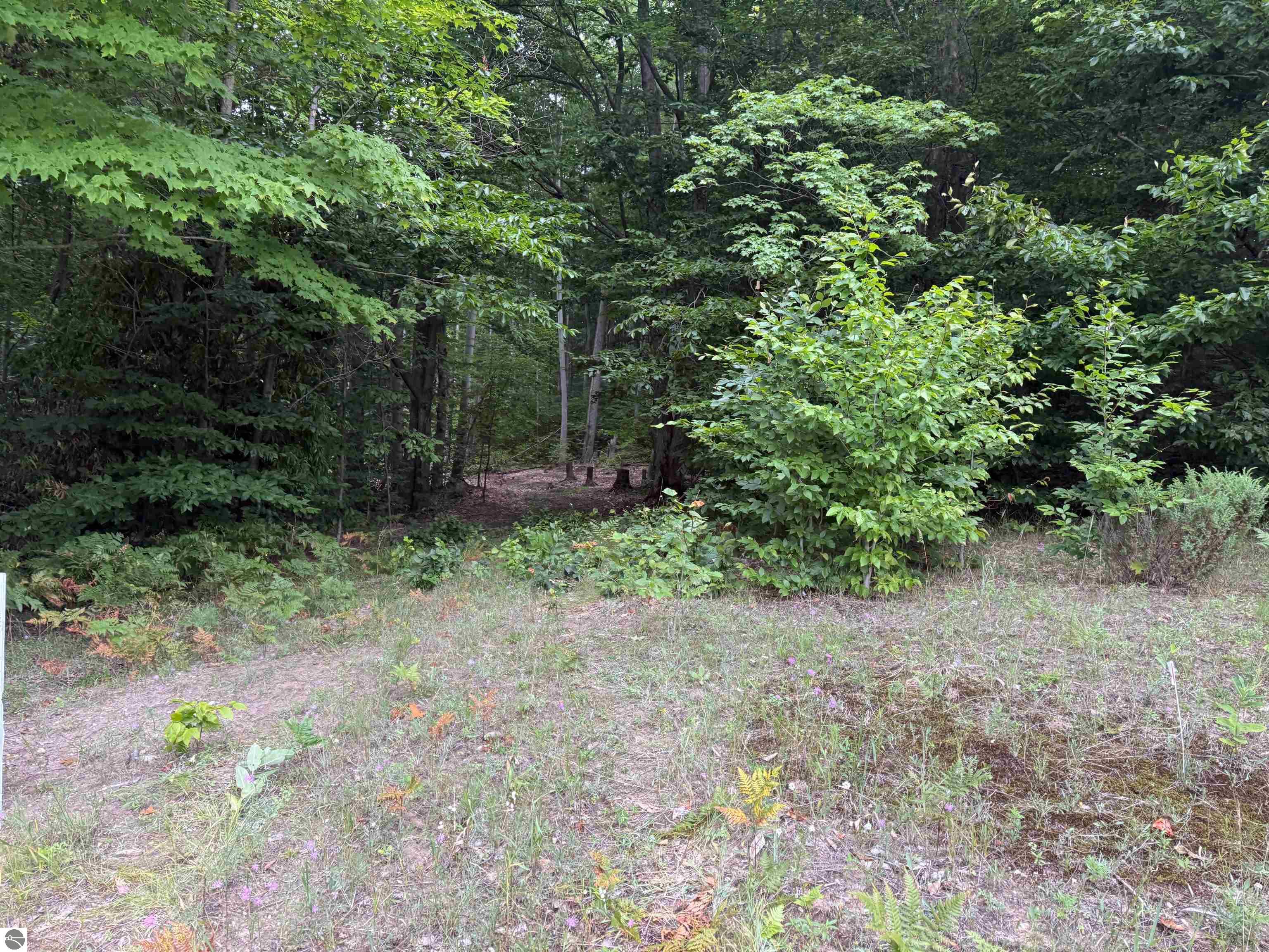0000 S Bridle Trail