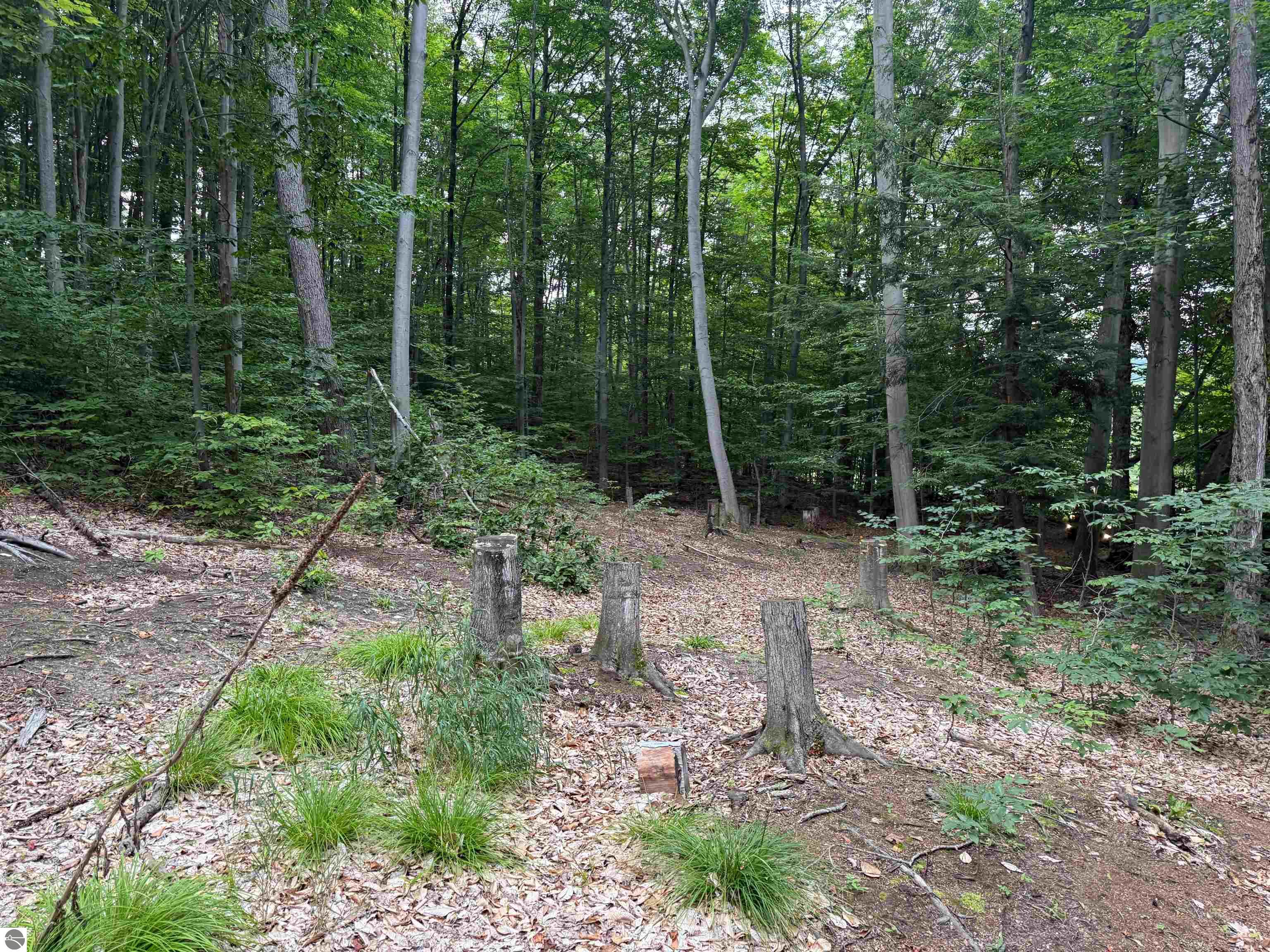 0000 S Bridle Trail