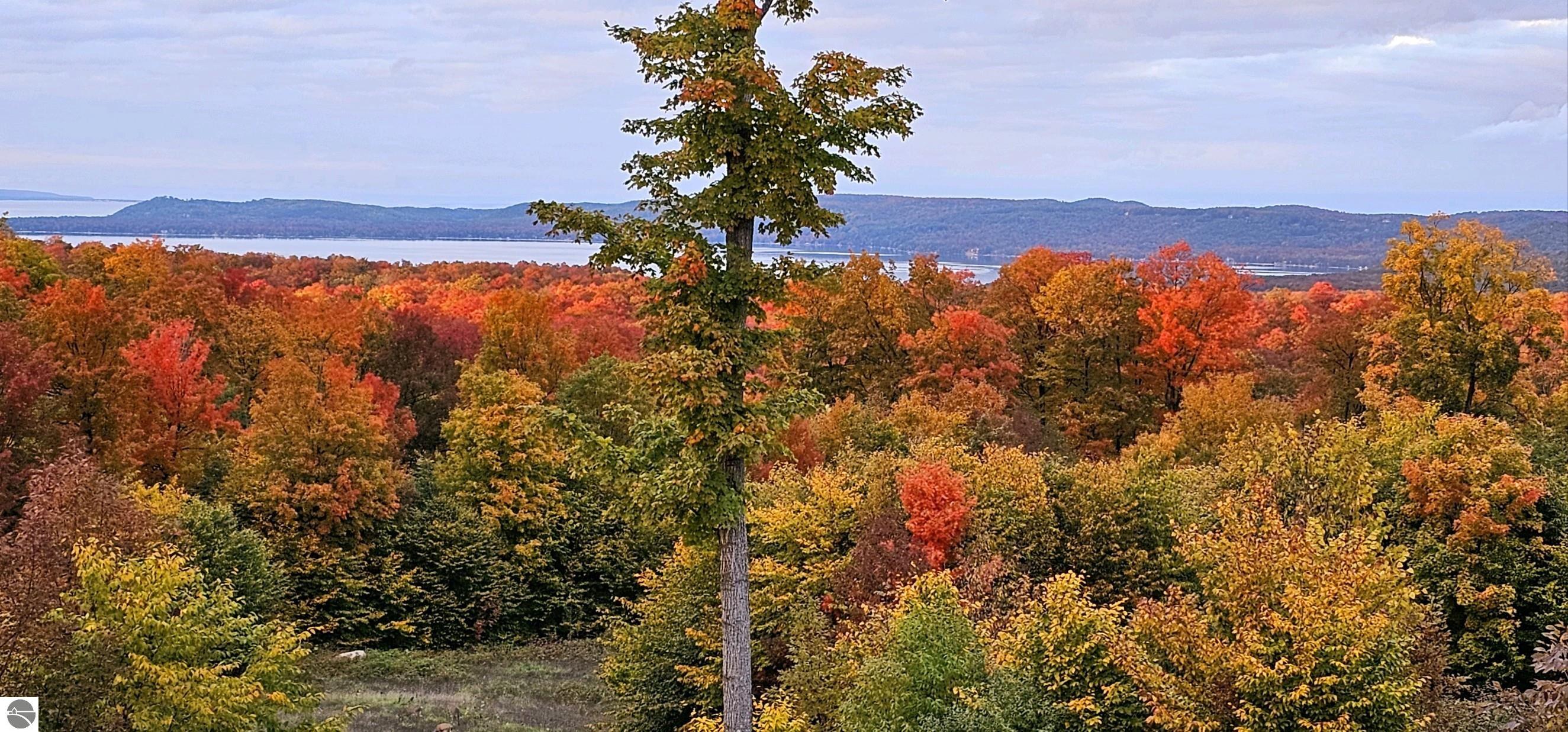 5512 W Timber Wolf Court