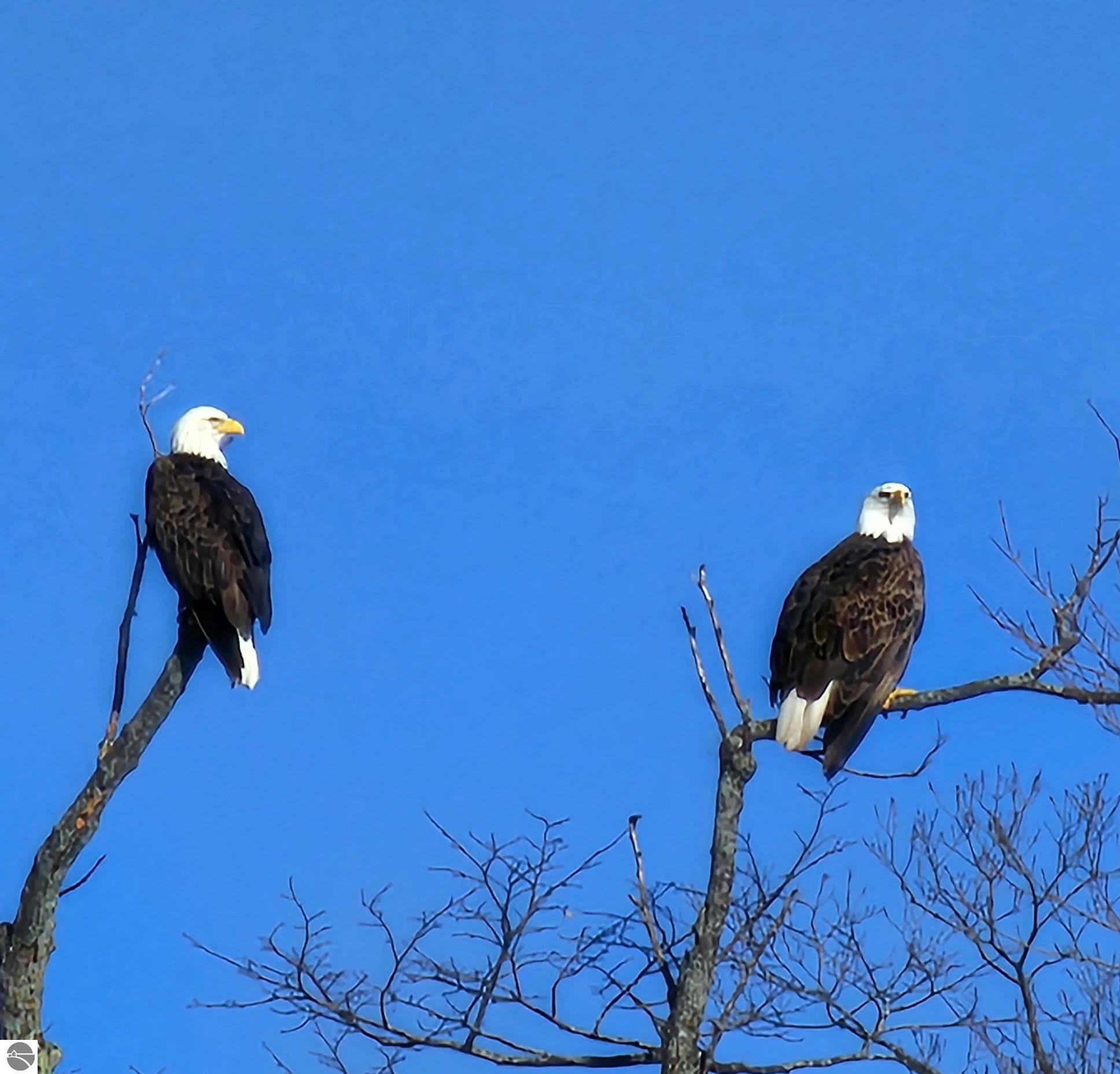 5512 W Timber Wolf Court