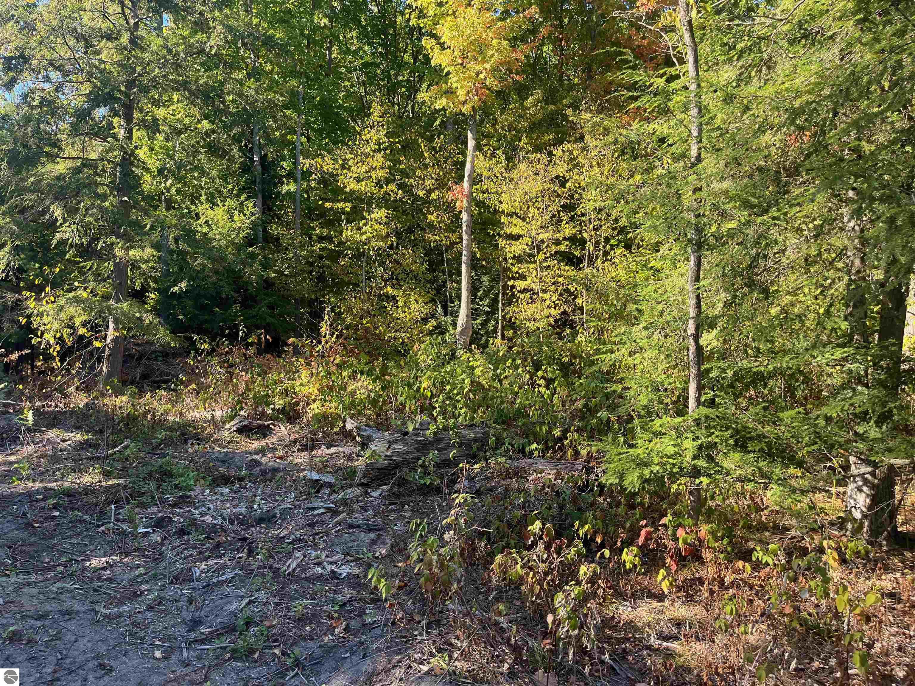 4735 Leaning Birch Drive