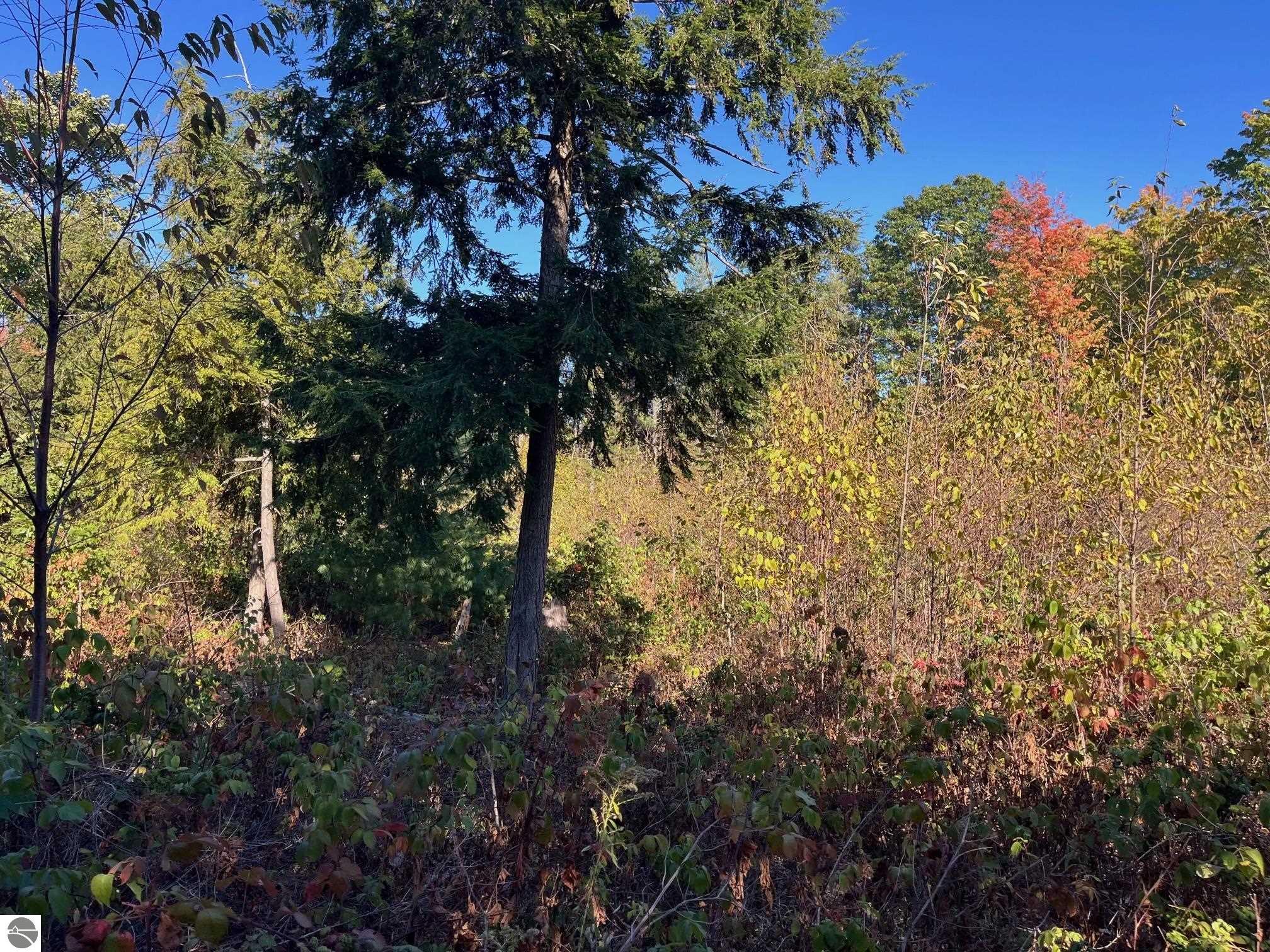 8784 Hemlock Hill Drive