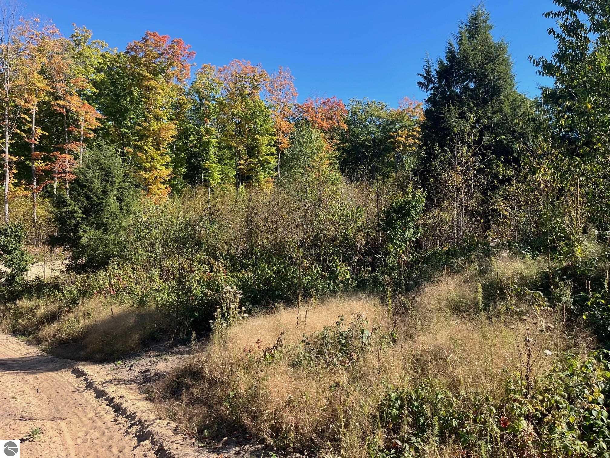 8762 Hemlock Hill Drive