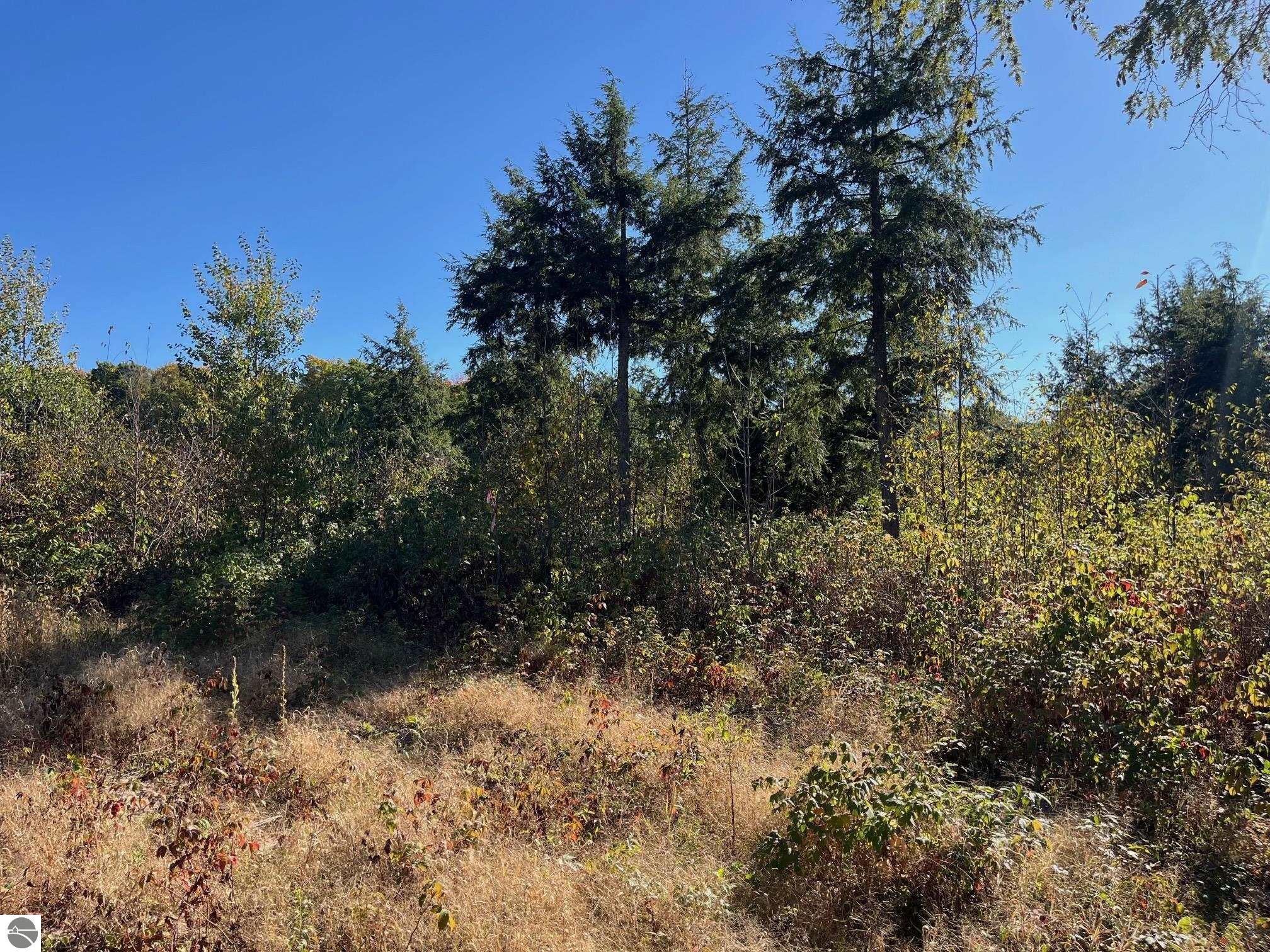 8837 Hemlock Hill Drive