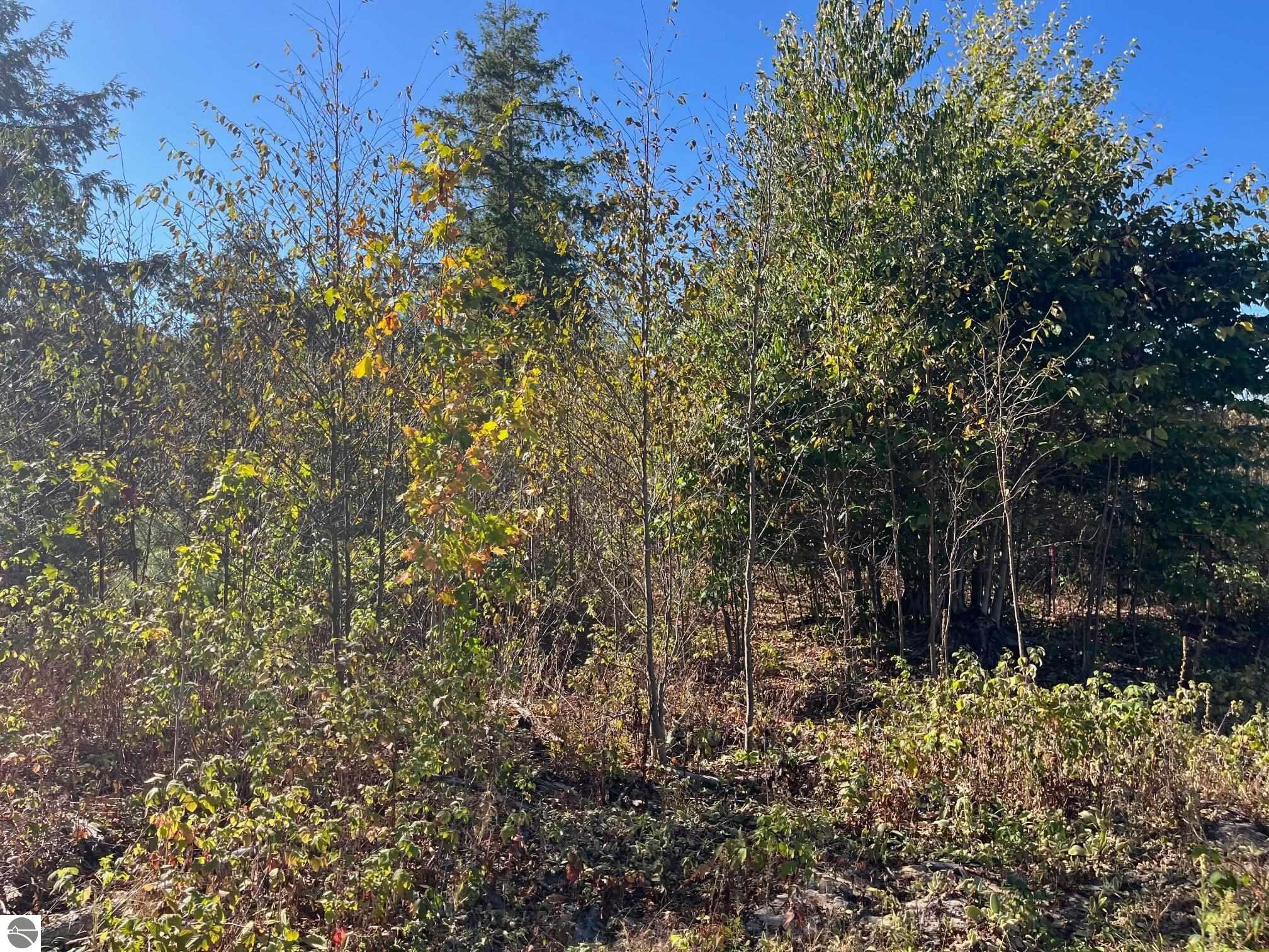 8787 Hemlock Hill Drive