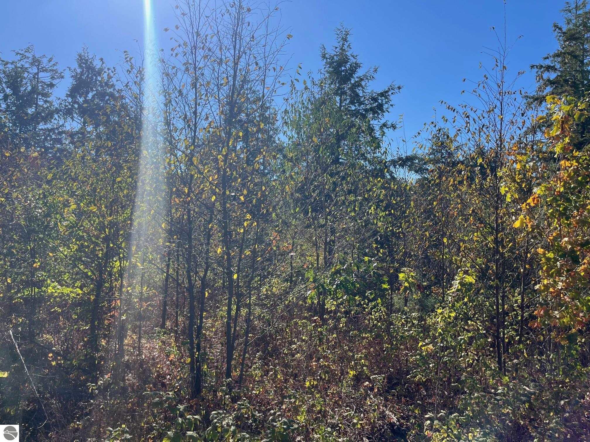 8787 Hemlock Hill Drive